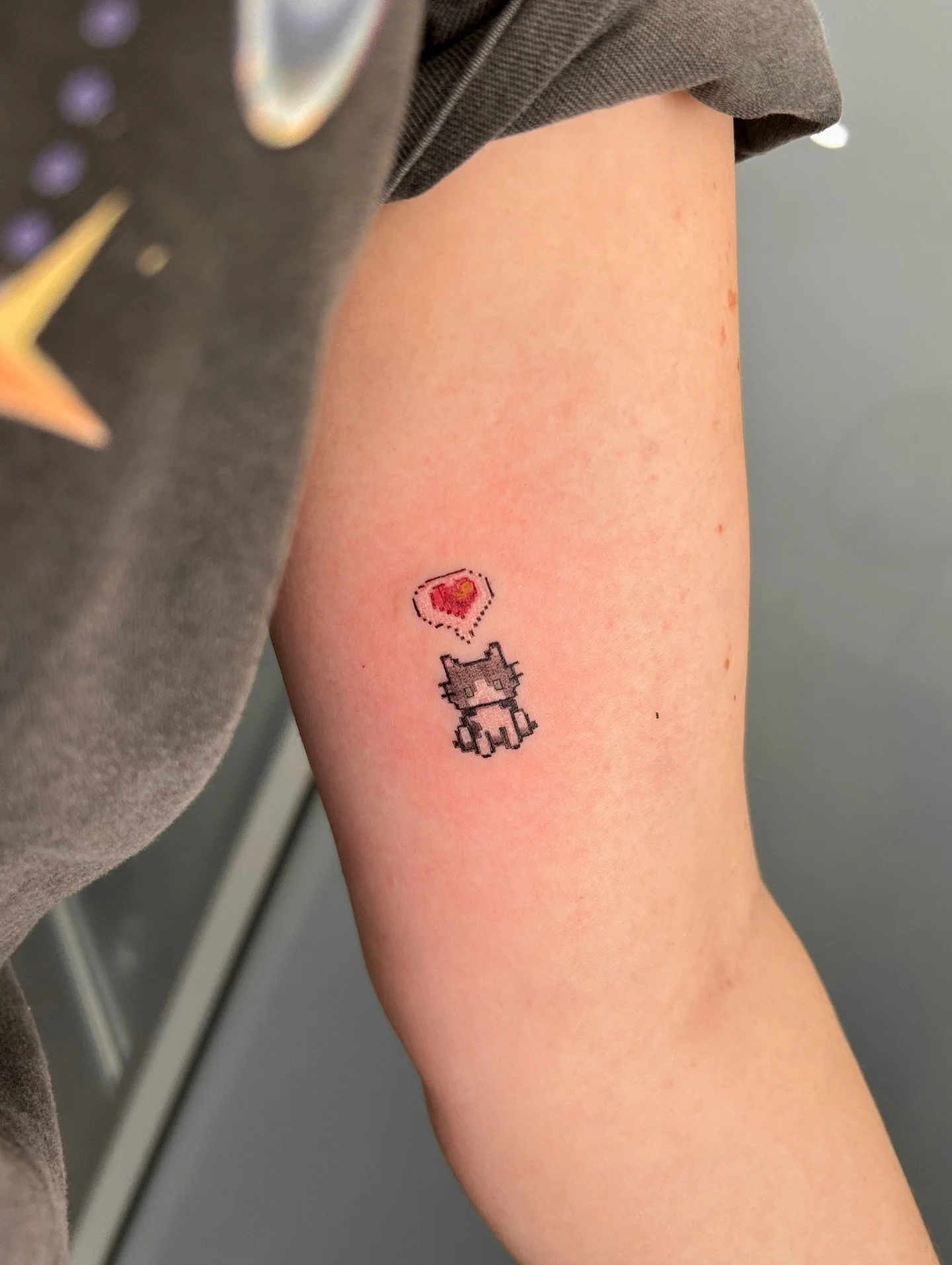 Custom Stardew Valley kitty cat but of her own cat with his colors and unique markings! So so so cute. Client requested to get the smallest size possible while still keeping all of the pixels and details, and believe it or not the kitty cat is only 0