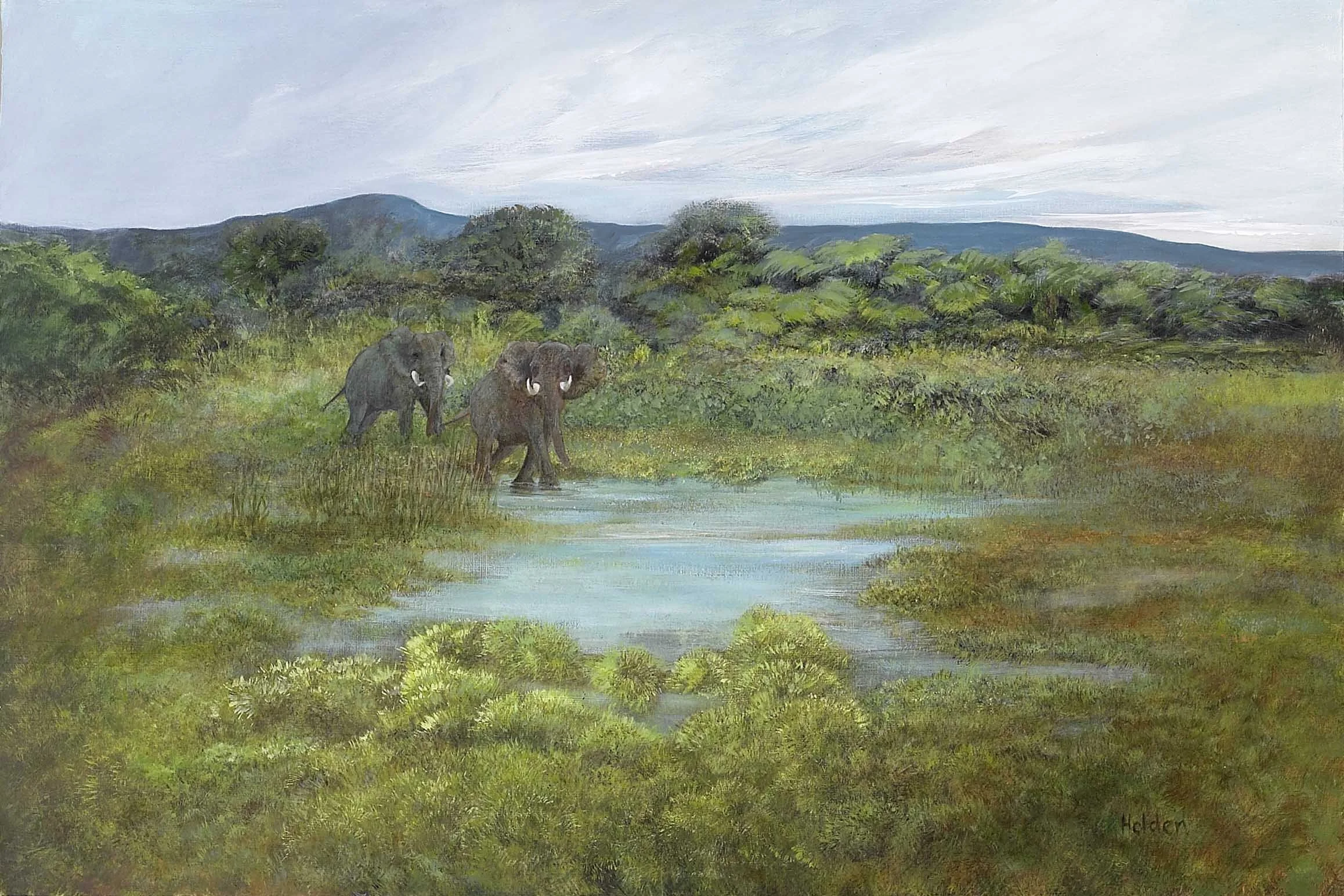 Tembe-Elephants-Gloria-Holden-small.jpg