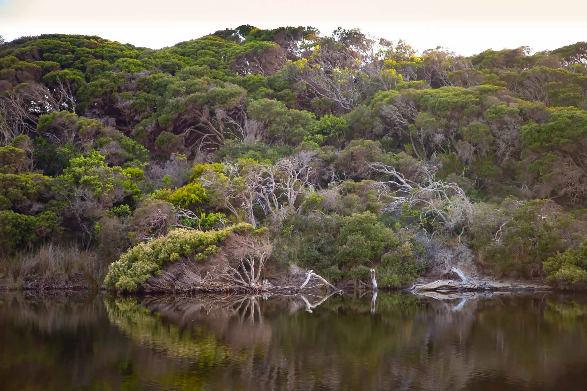Harriet-River-Mouth-1-Kangaroo-Island-Phillipa-Holden.jpg