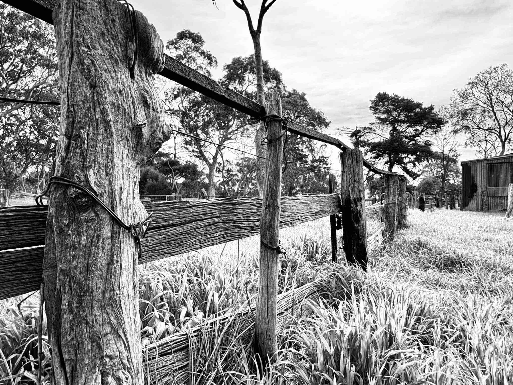 Birchmore-Farm-Fence-smaller.jpg
