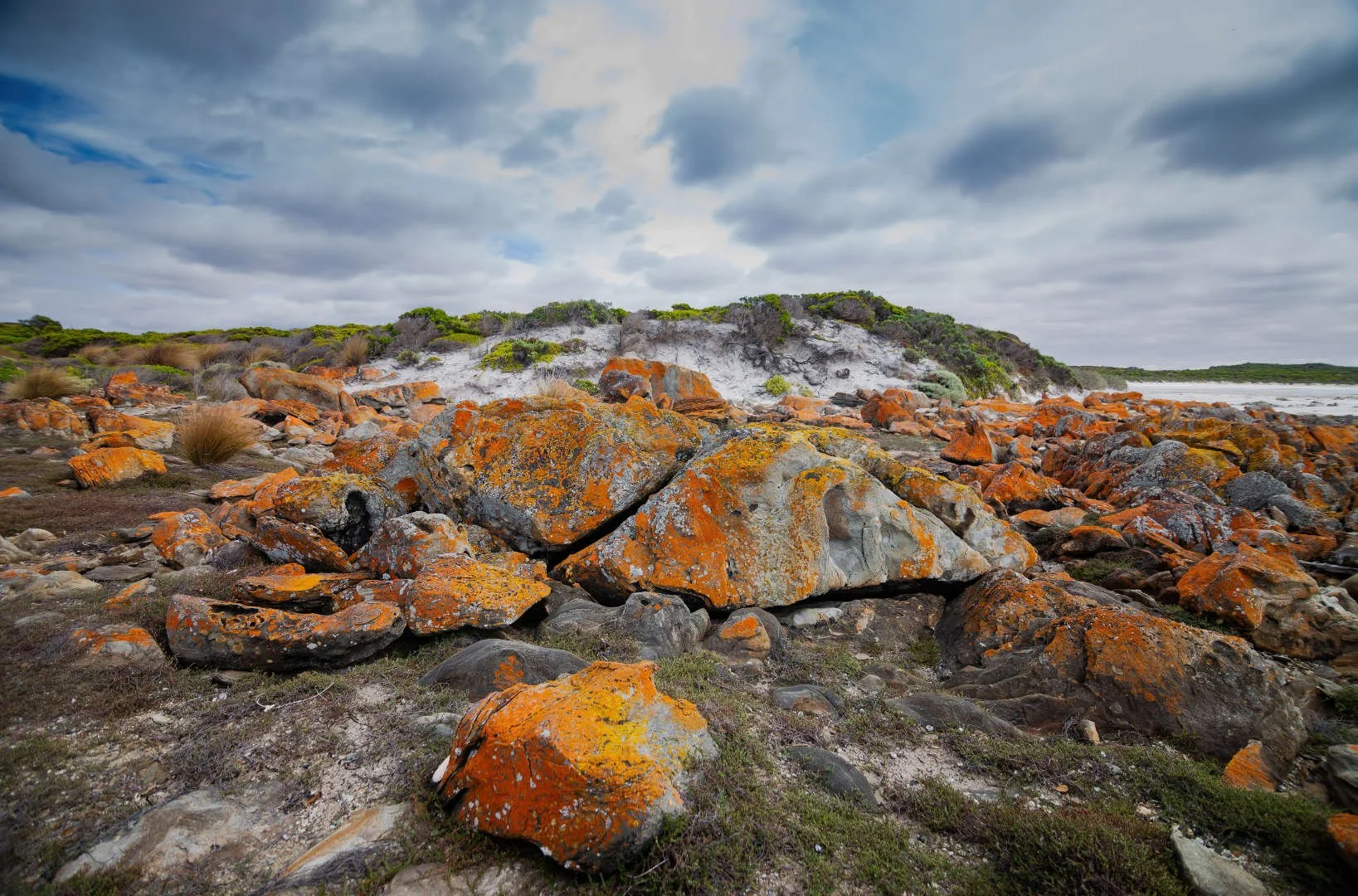 D_Estrees-Bay-Lichen-Rocks-Kangaroo-Island-Phillipa-Holden.jpg