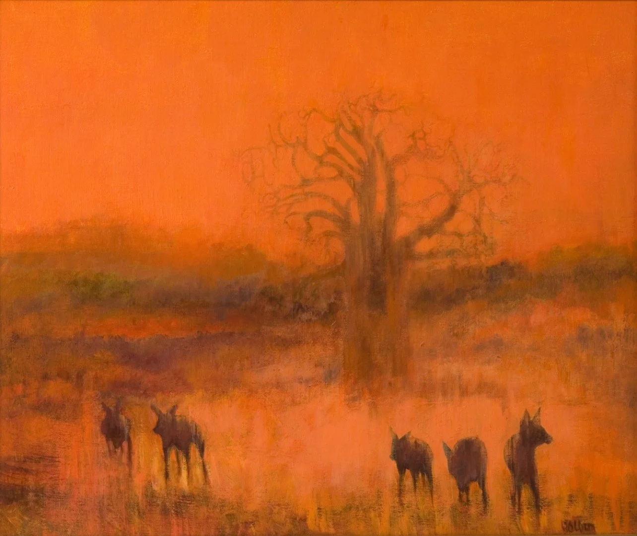 Baobab-Dogs-Gloria-Holden.jpg