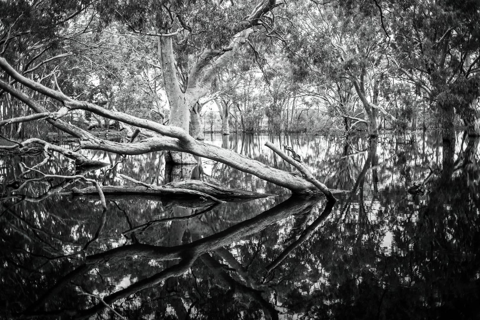 Birchmore-Chain-Of-Lagoons-Kangaroo-Island-Phillipa-Holden.jpg
