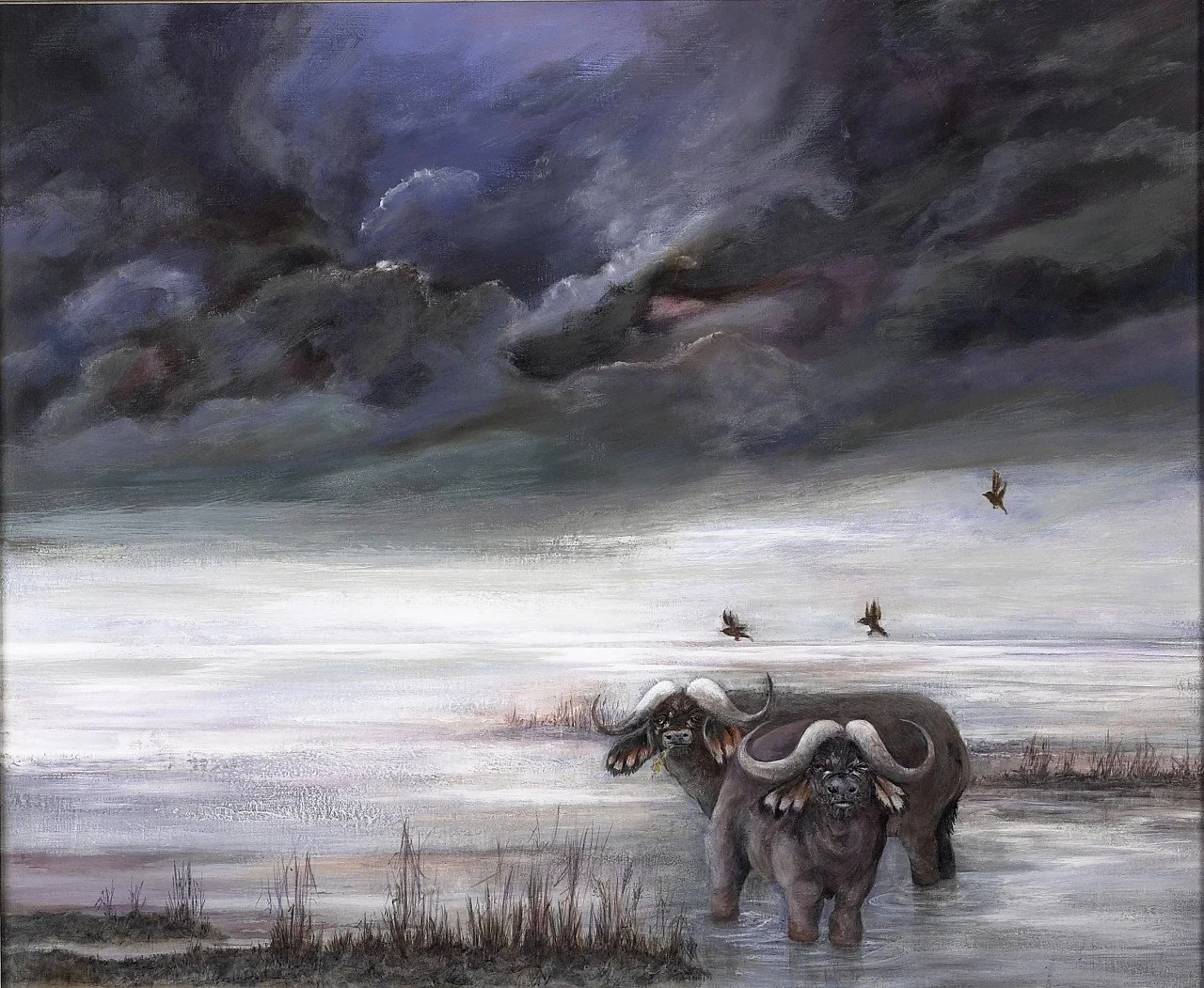 Buffalo-Storm-Gloria-Holden.jpg