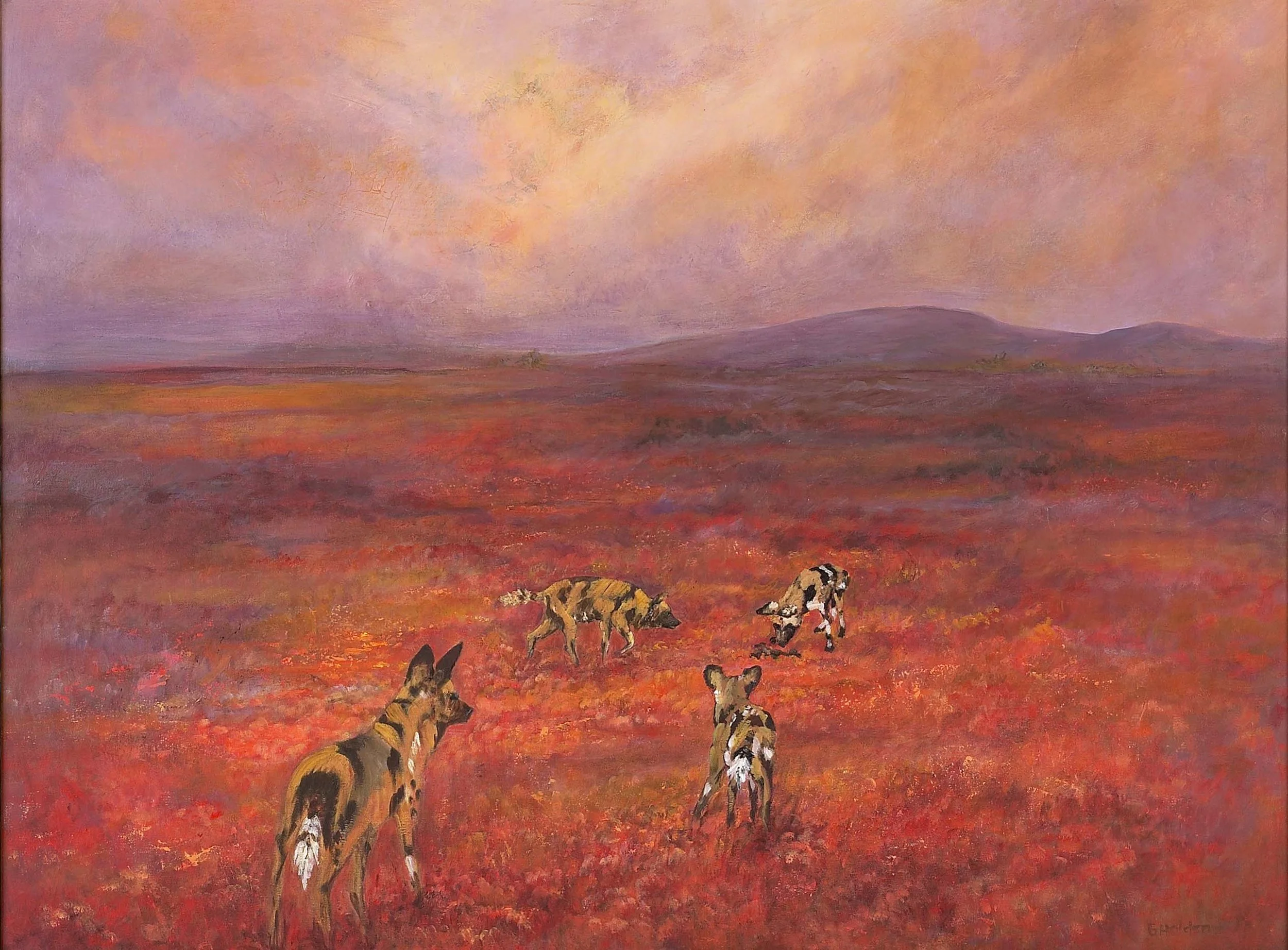 Madikwe-Wild-Dogs-Gloria-Holden-small.jpg