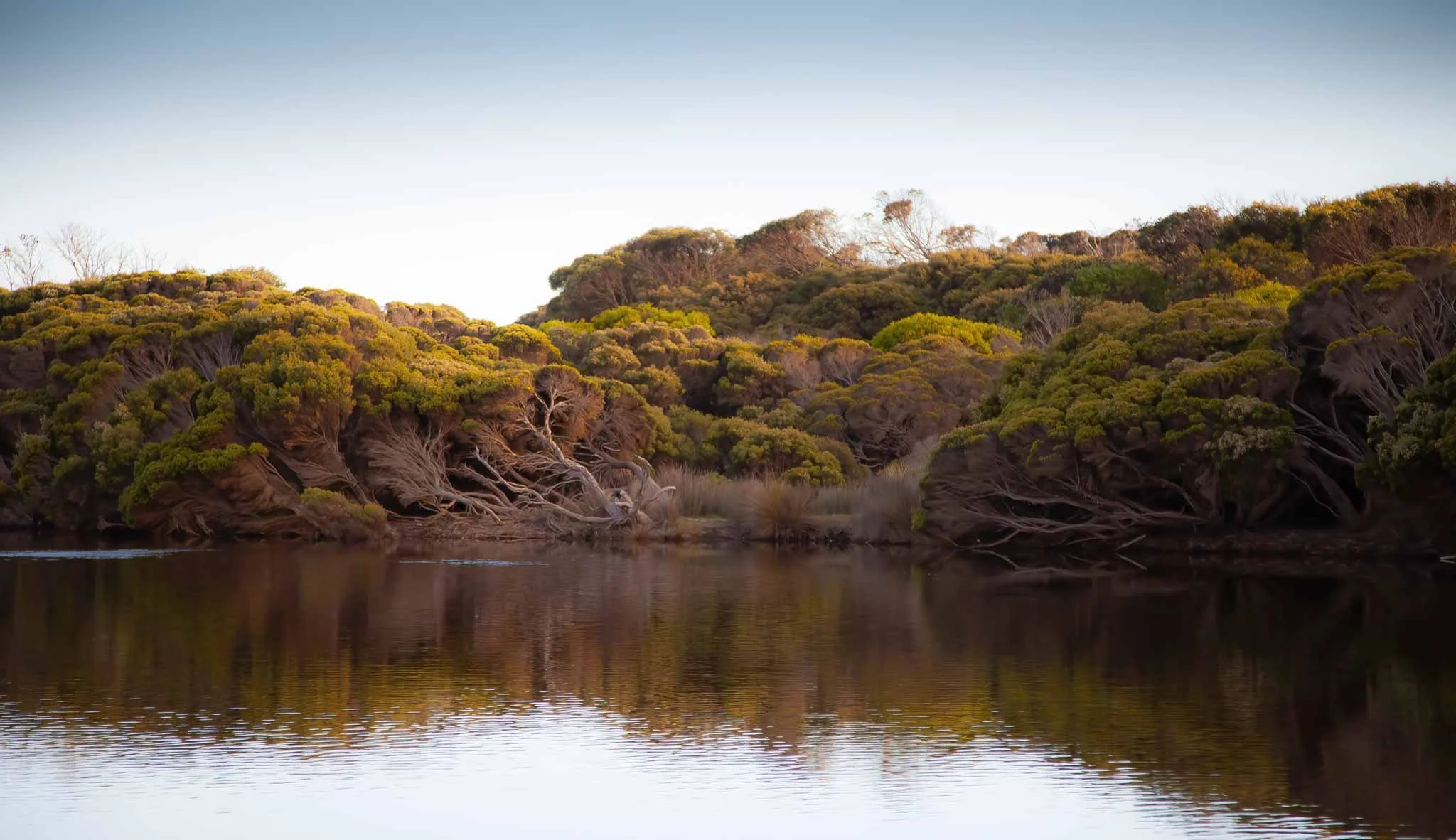 Harriet-River-Mouth-3-Kangaroo-Island-Phillipa-Holden.jpg