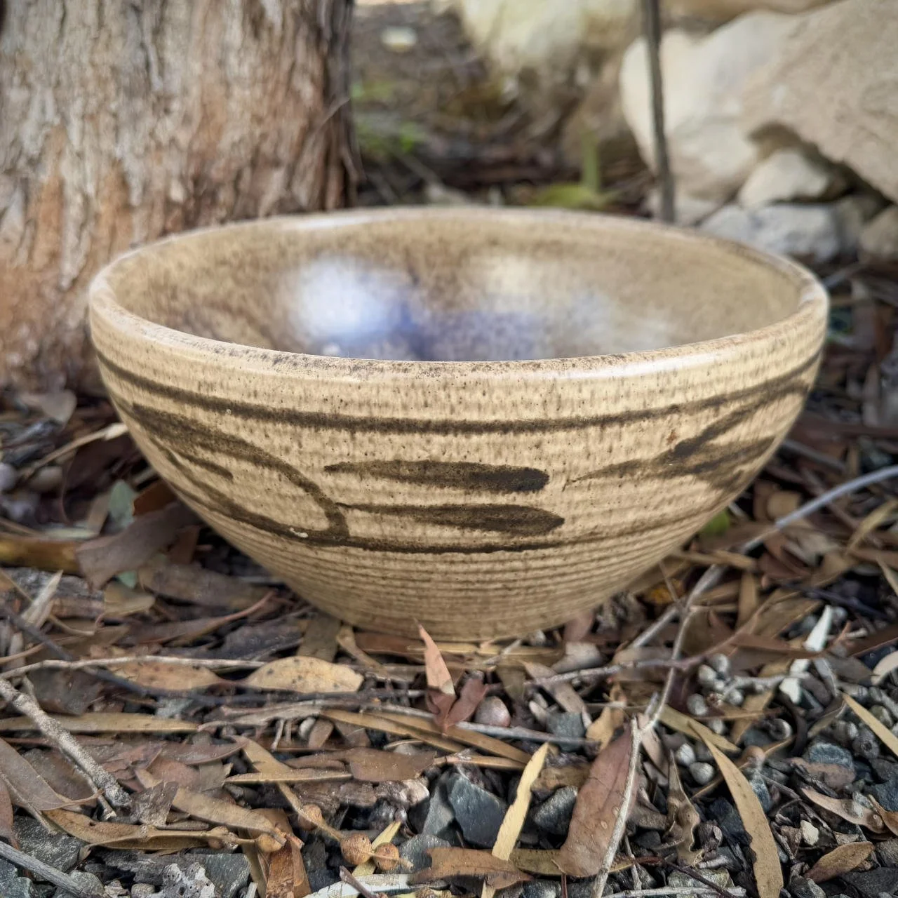 Serving-Bowl-Oatmeal.jpg