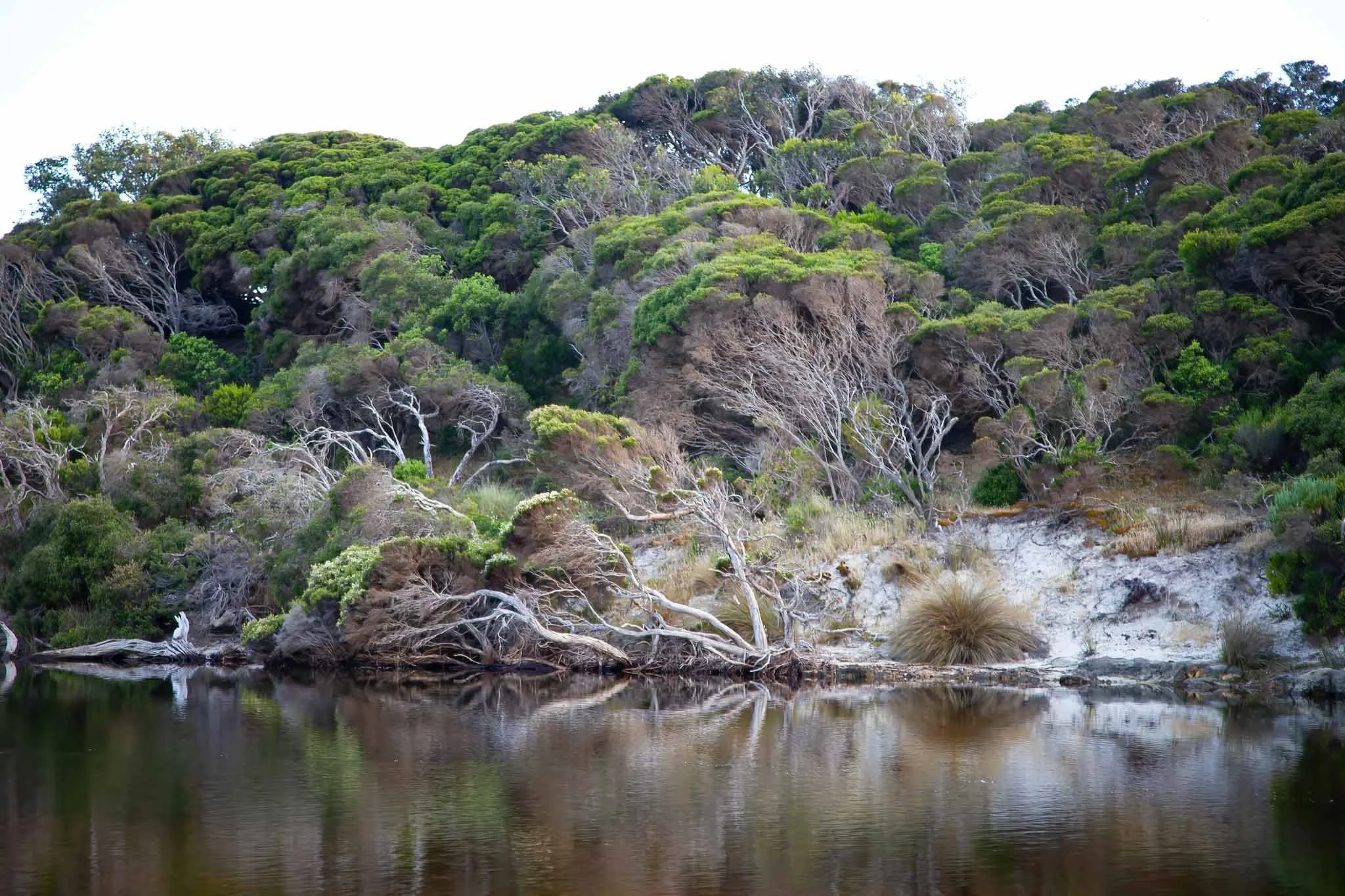Harriet-River-Mouth-2-Kangaroo-Island-Phillipa-Holden.jpg