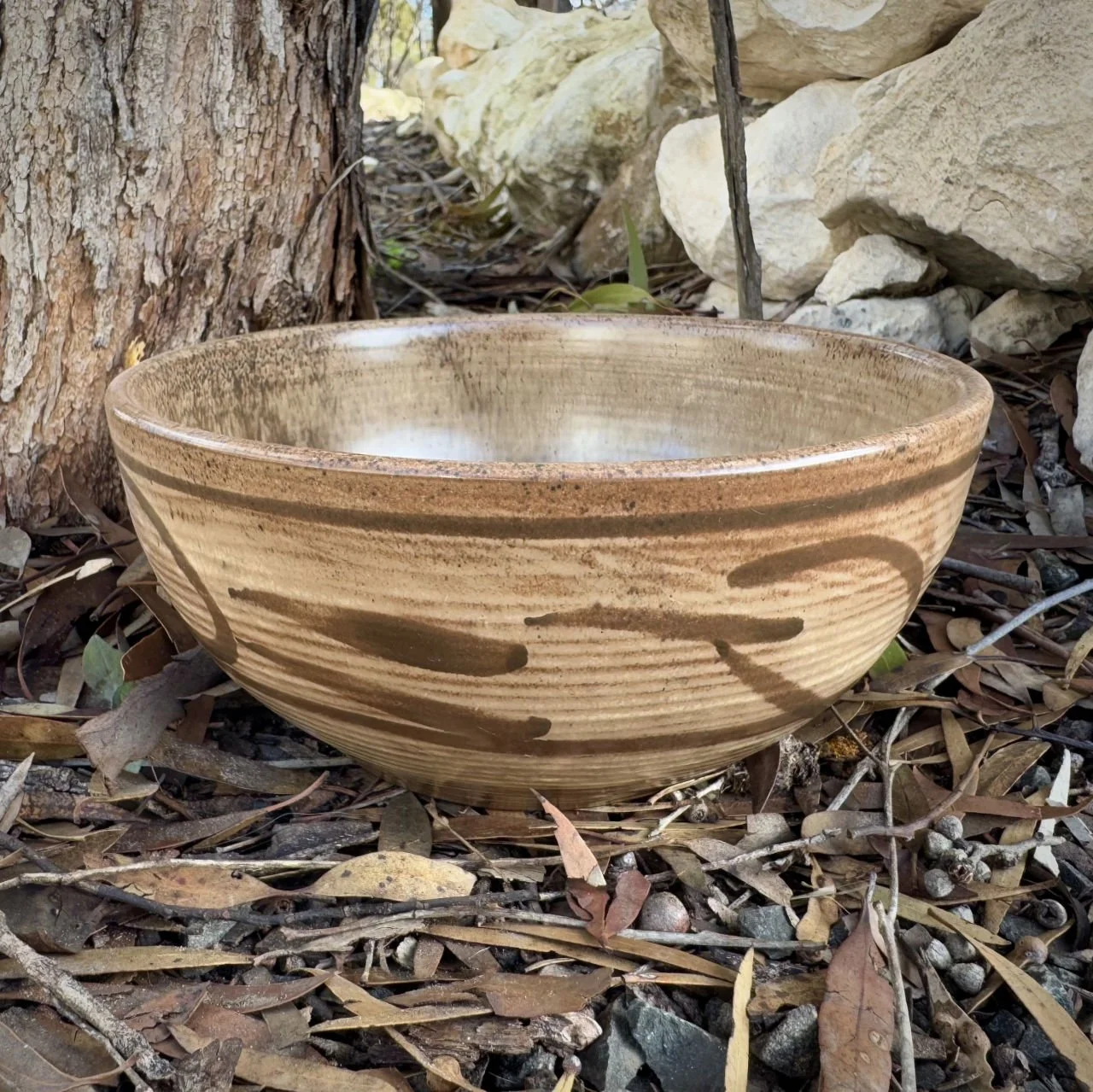 Serving-Bowl-Oatmeal-Large.jpg
