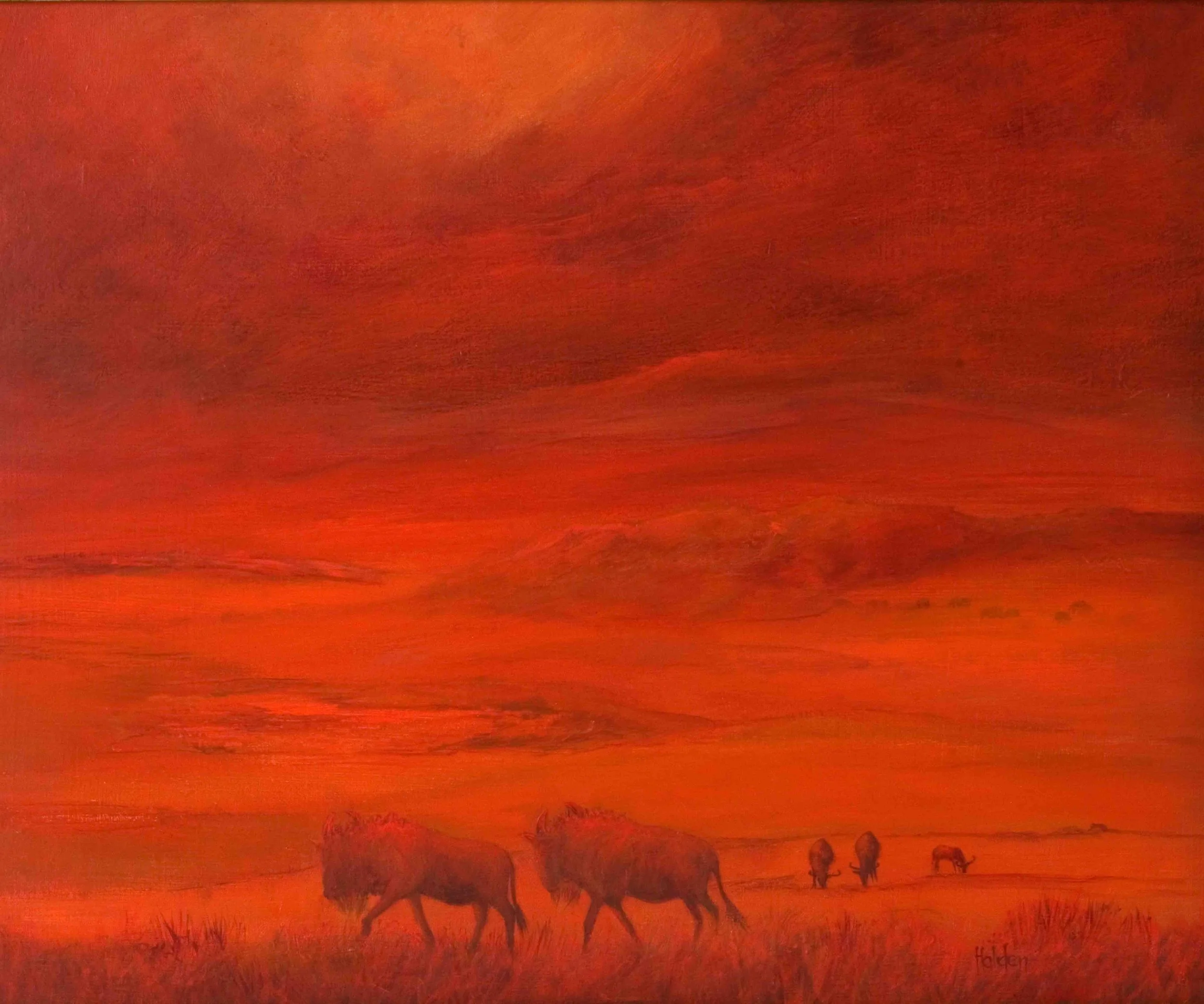 Wildebeest-Sunset-Gloria-Holden-small.jpg