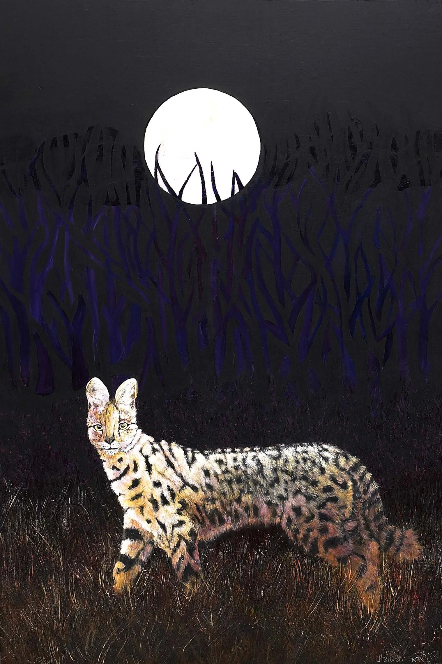 Serval-Gloria-Holden-small.jpg