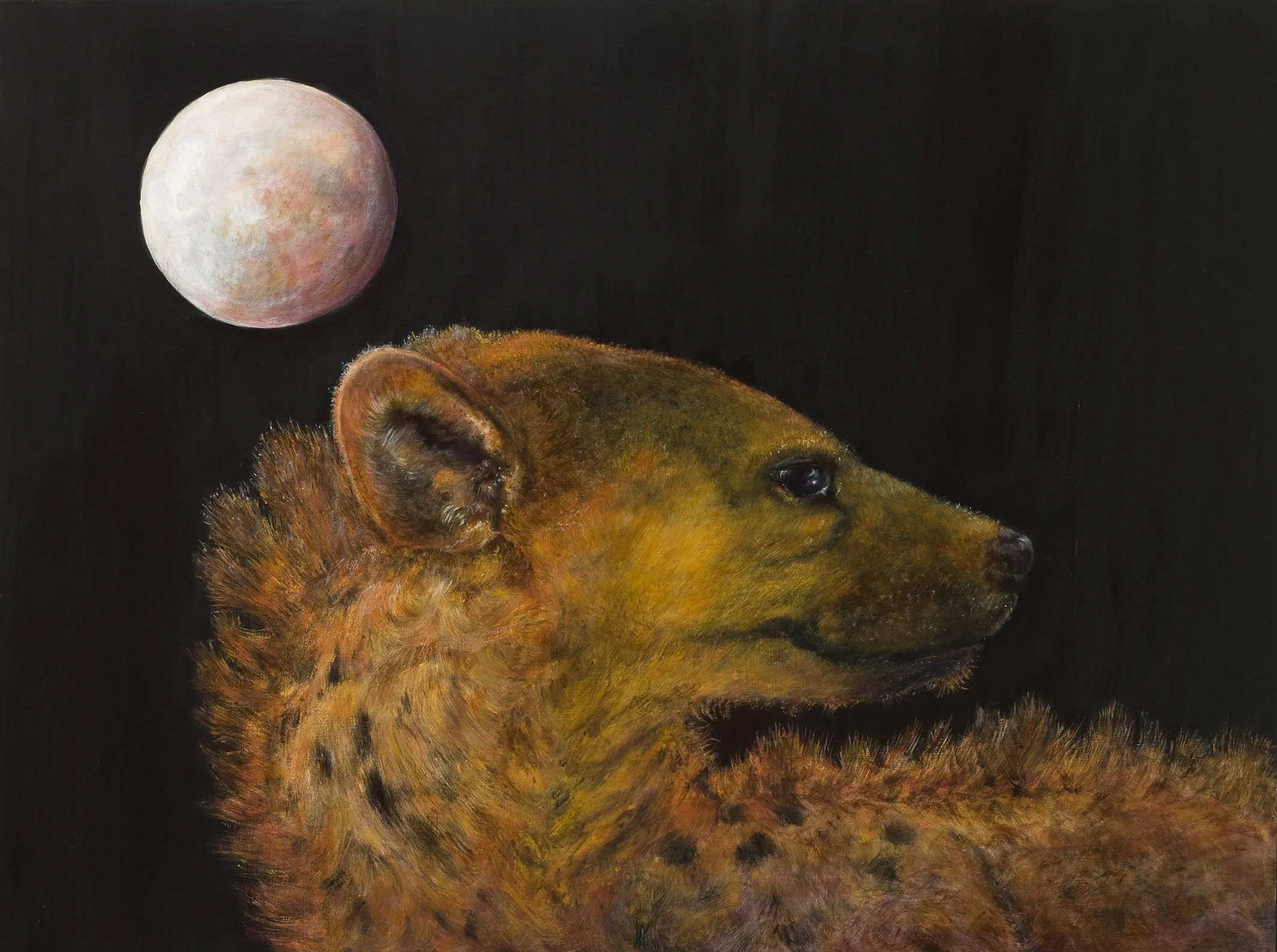 Spotted-Hyena-Gloria-Holden-small.jpg