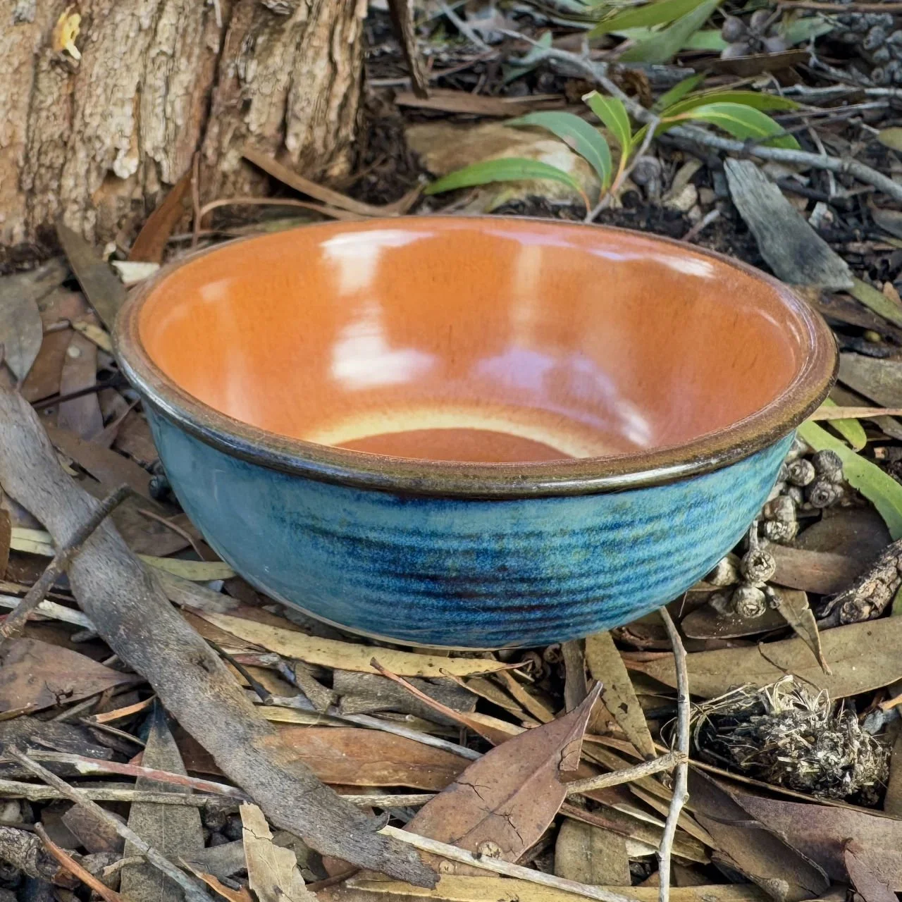 Blue-Desert-Bowl.jpg