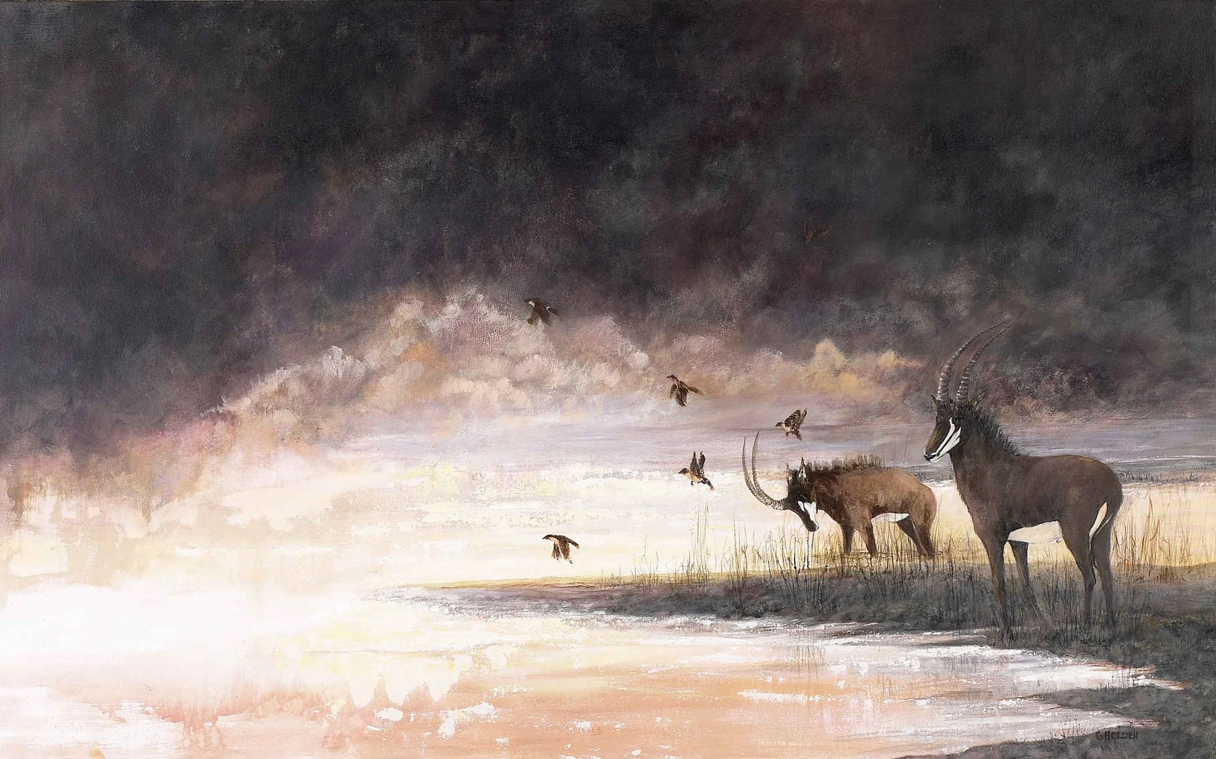 Sables-Gloria-Holden-small.jpg