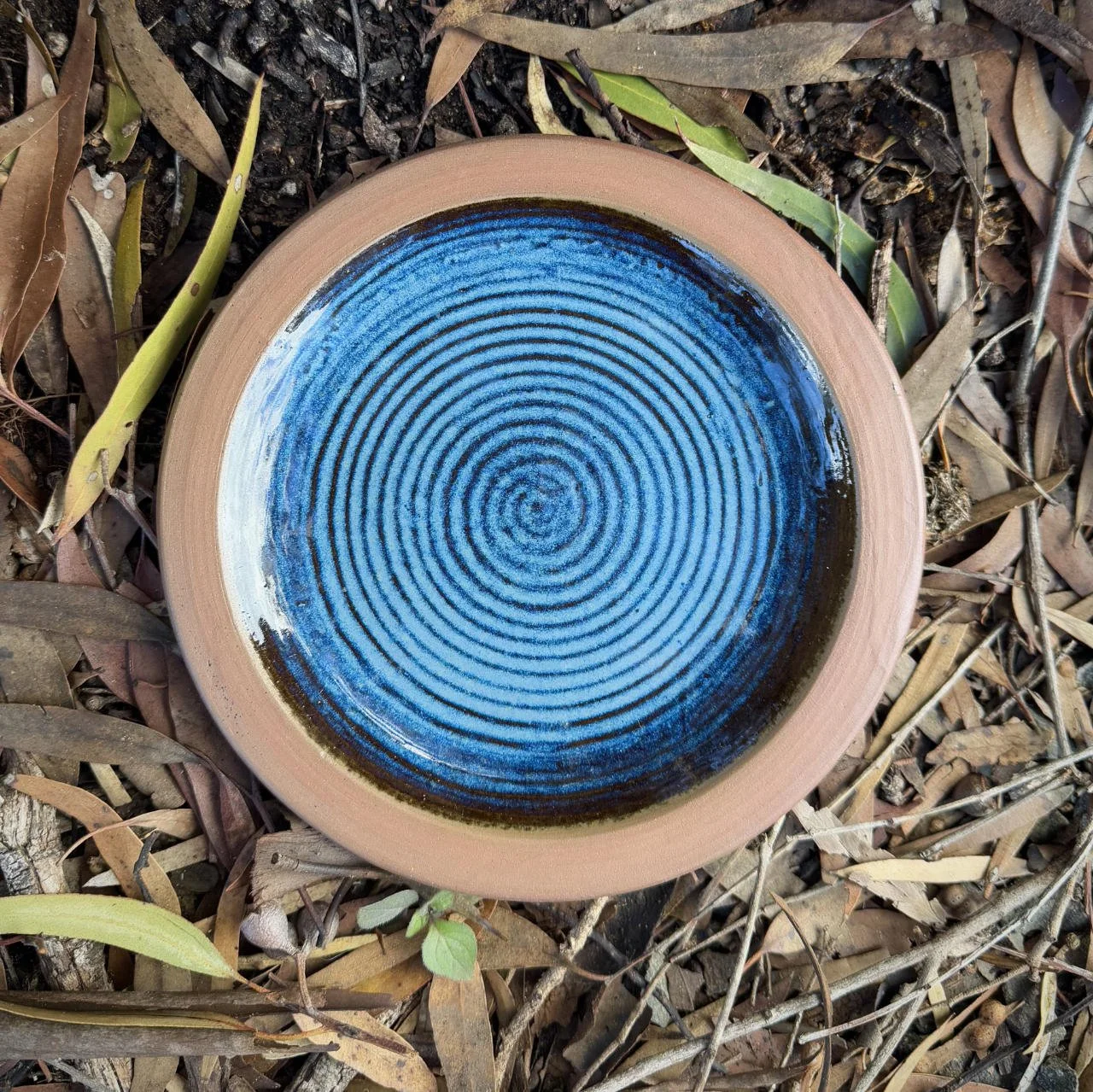 Blue-Side-Plate.jpg