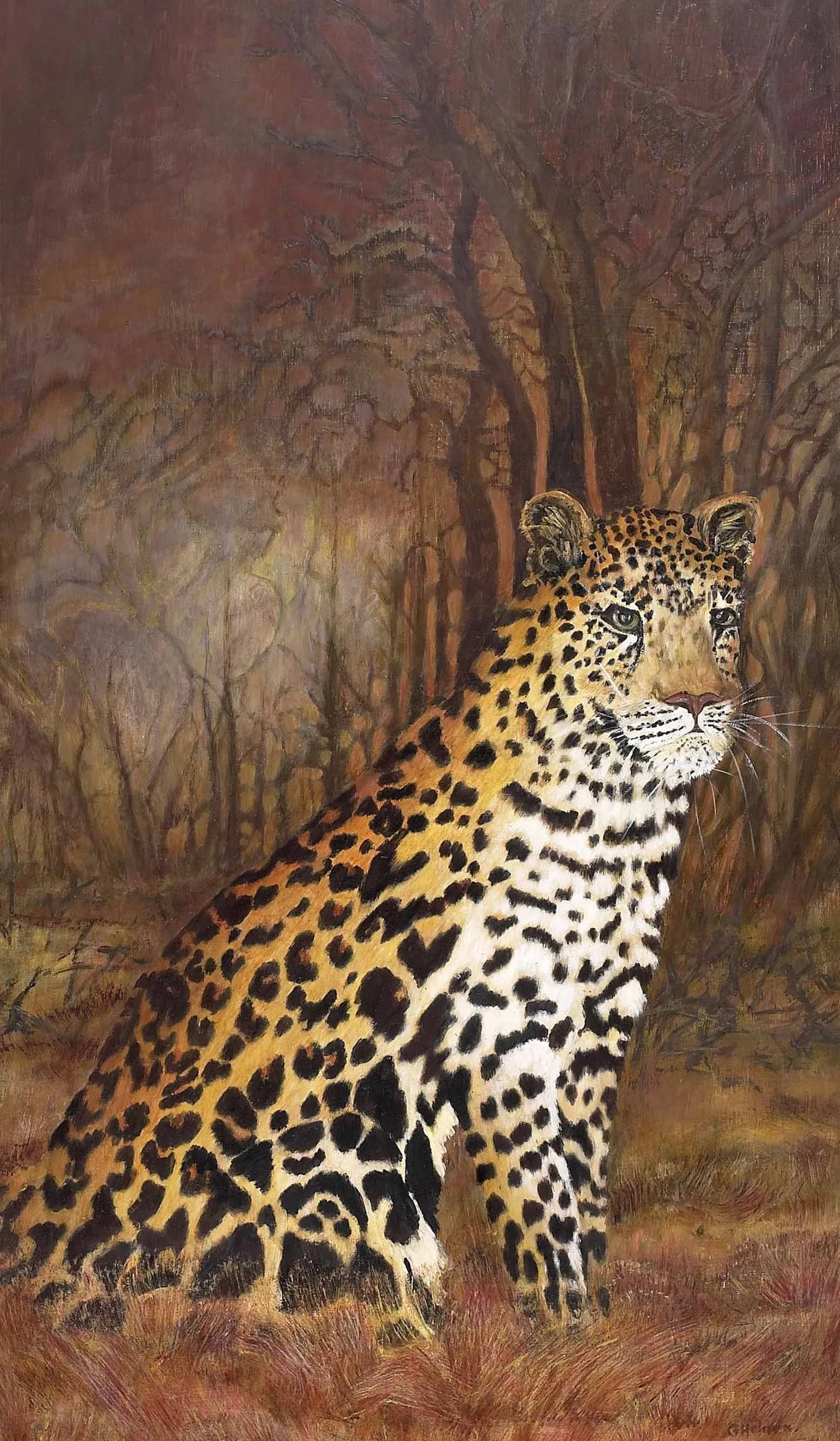 Leopard-Forest-Gloria-Holden-small.jpg