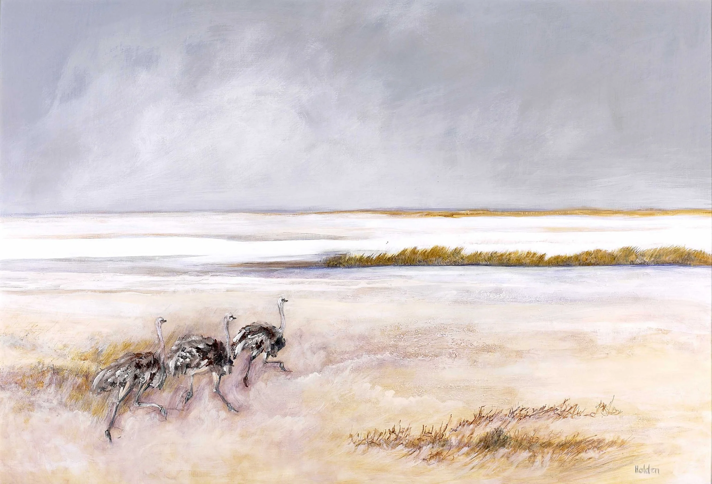 Salt-Pan-Ostrich-Gloria-Holden-small.jpg