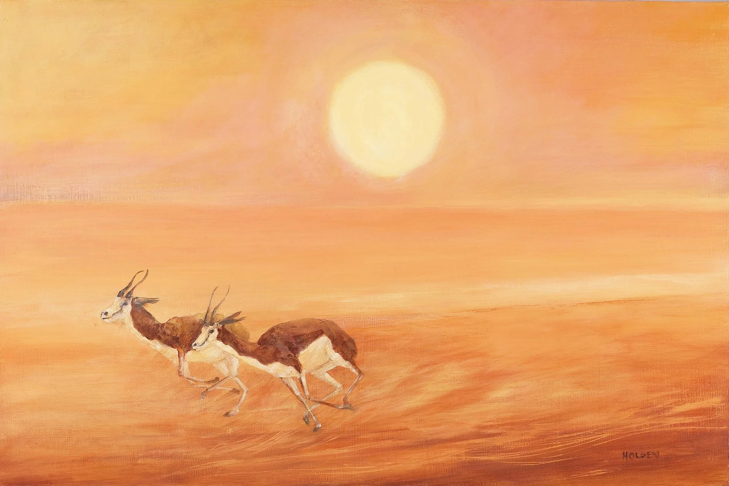 Springboks-Gloria-Holden-small.jpg