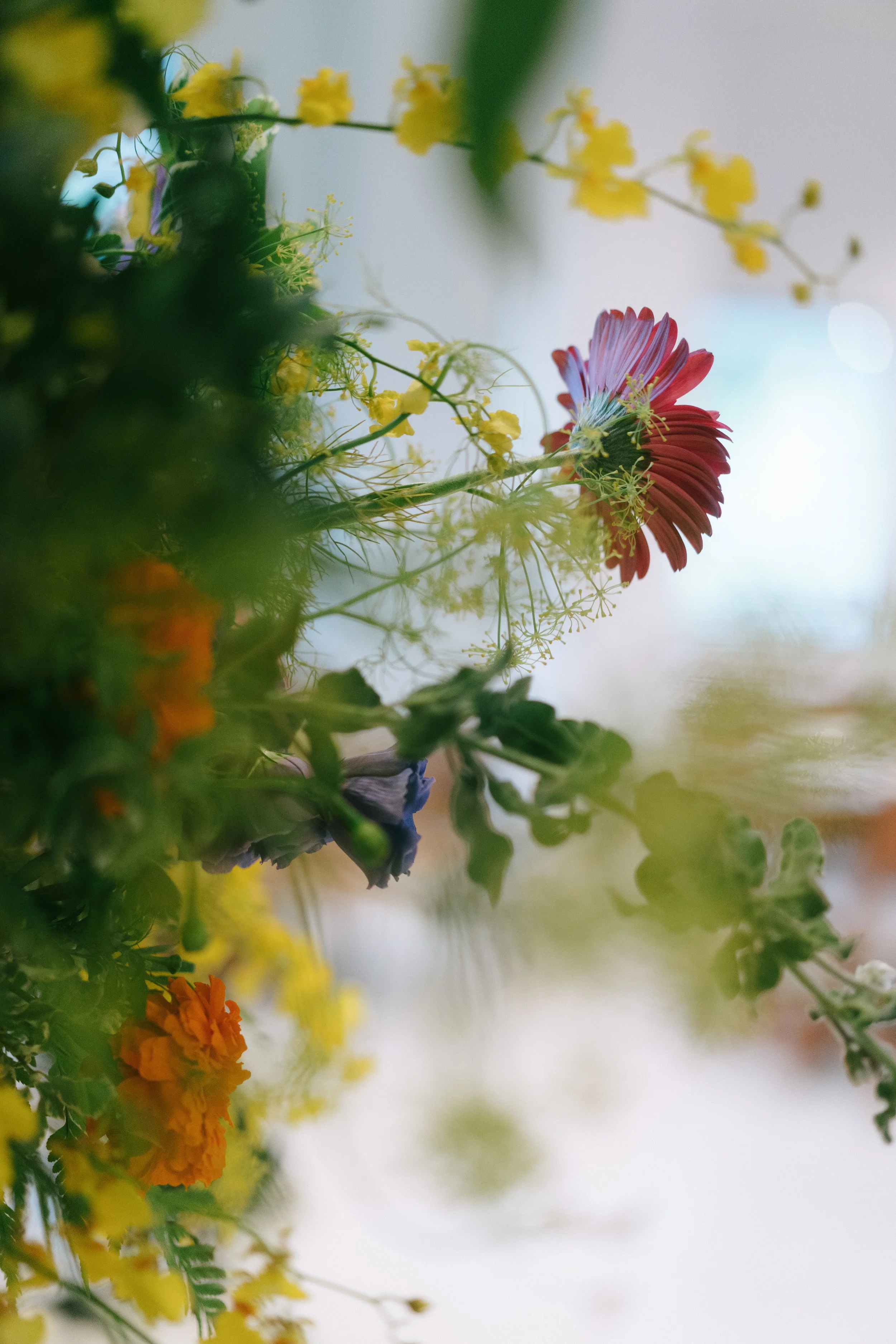 Kai En + Jun Shen-27.jpg