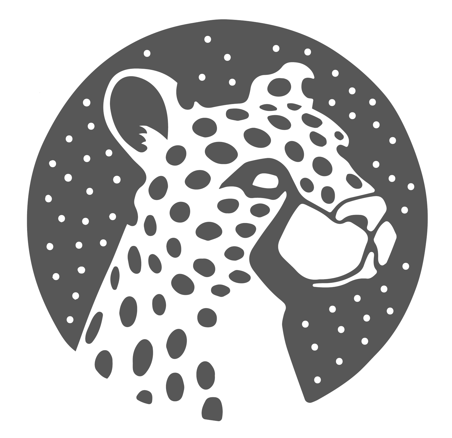 Jason Udden | Video &amp; Production Support