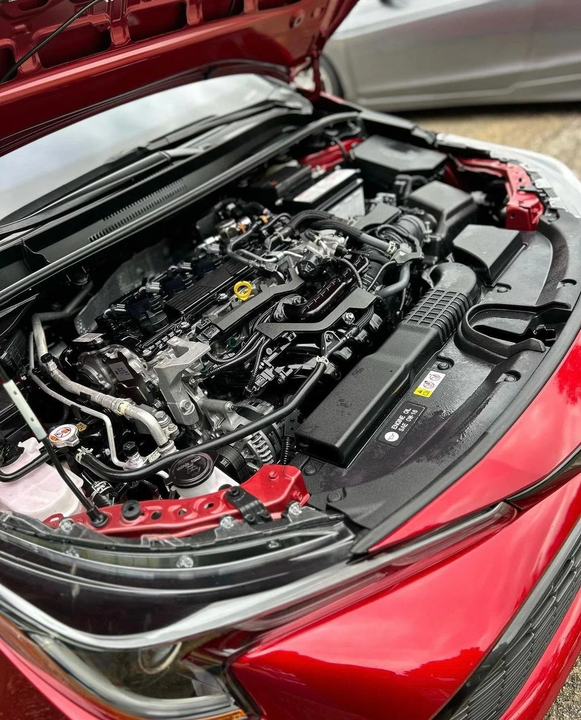 WhatsApp Image 2024-09-18 at 8.30.25 PM (1).jpeg