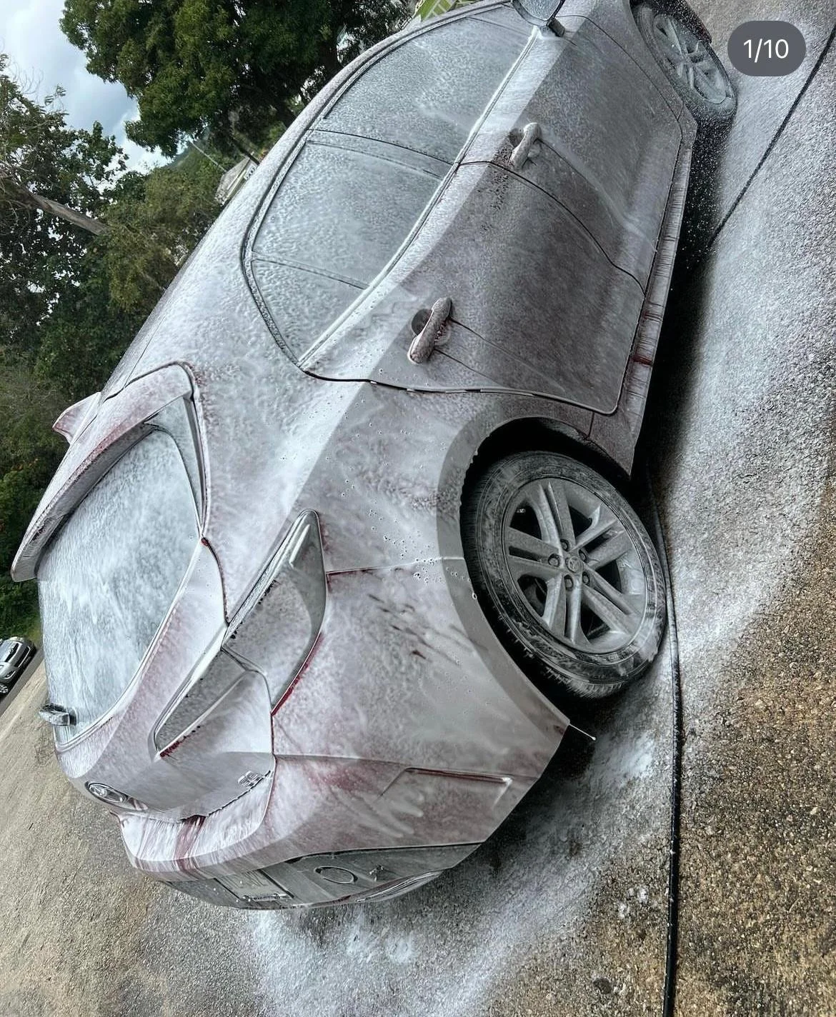 WhatsApp Image 2024-09-18 at 8.30.25 PM.jpeg