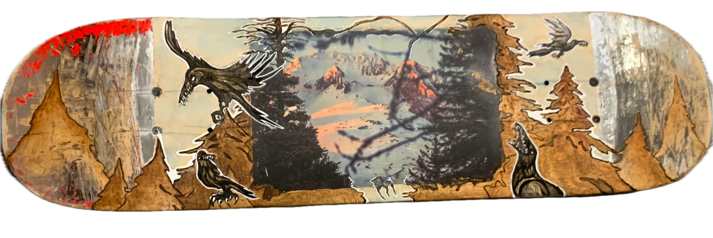 IMG_5267 Background Removed.png