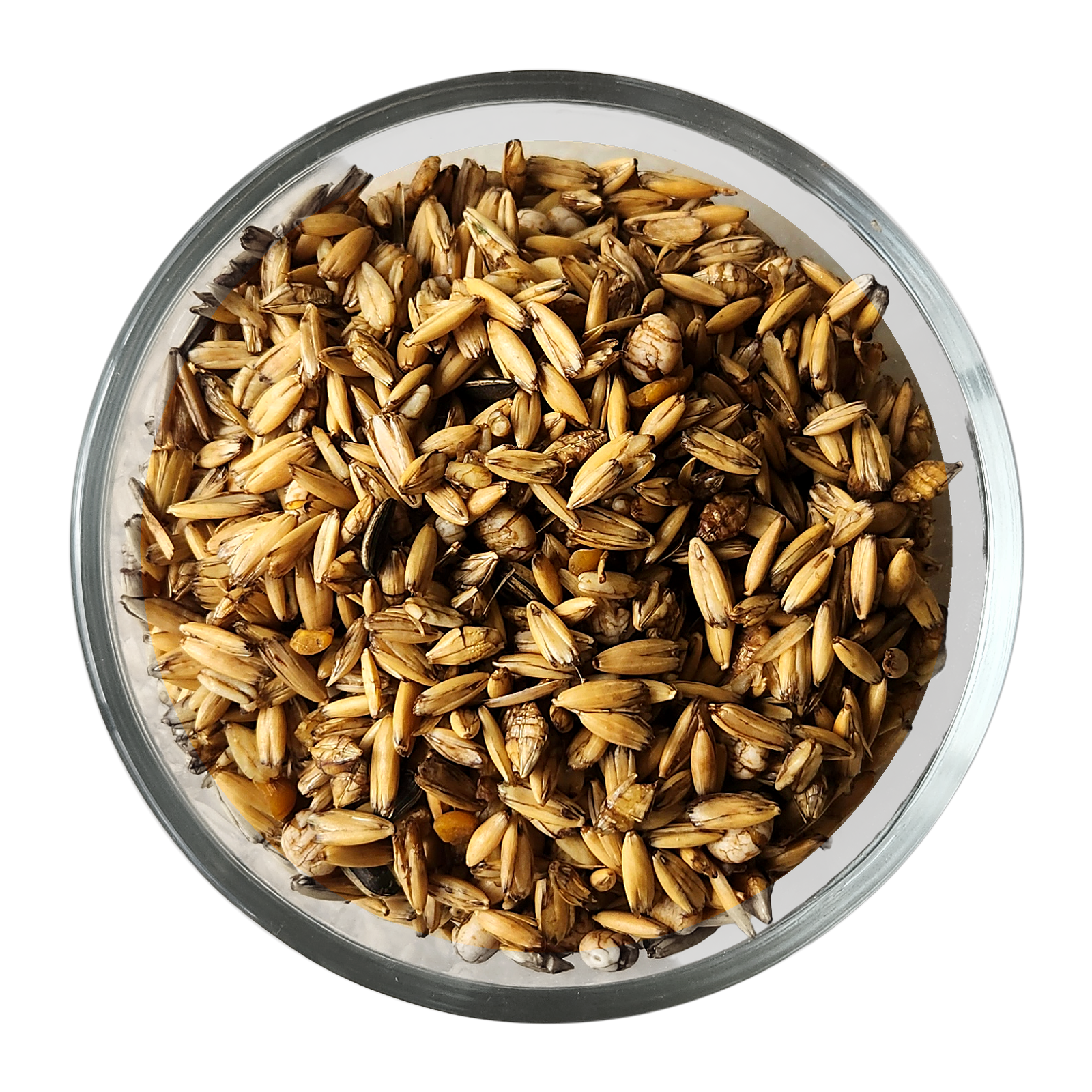 demeter_verve_bowl-overhead_transparent_1600x1600.png