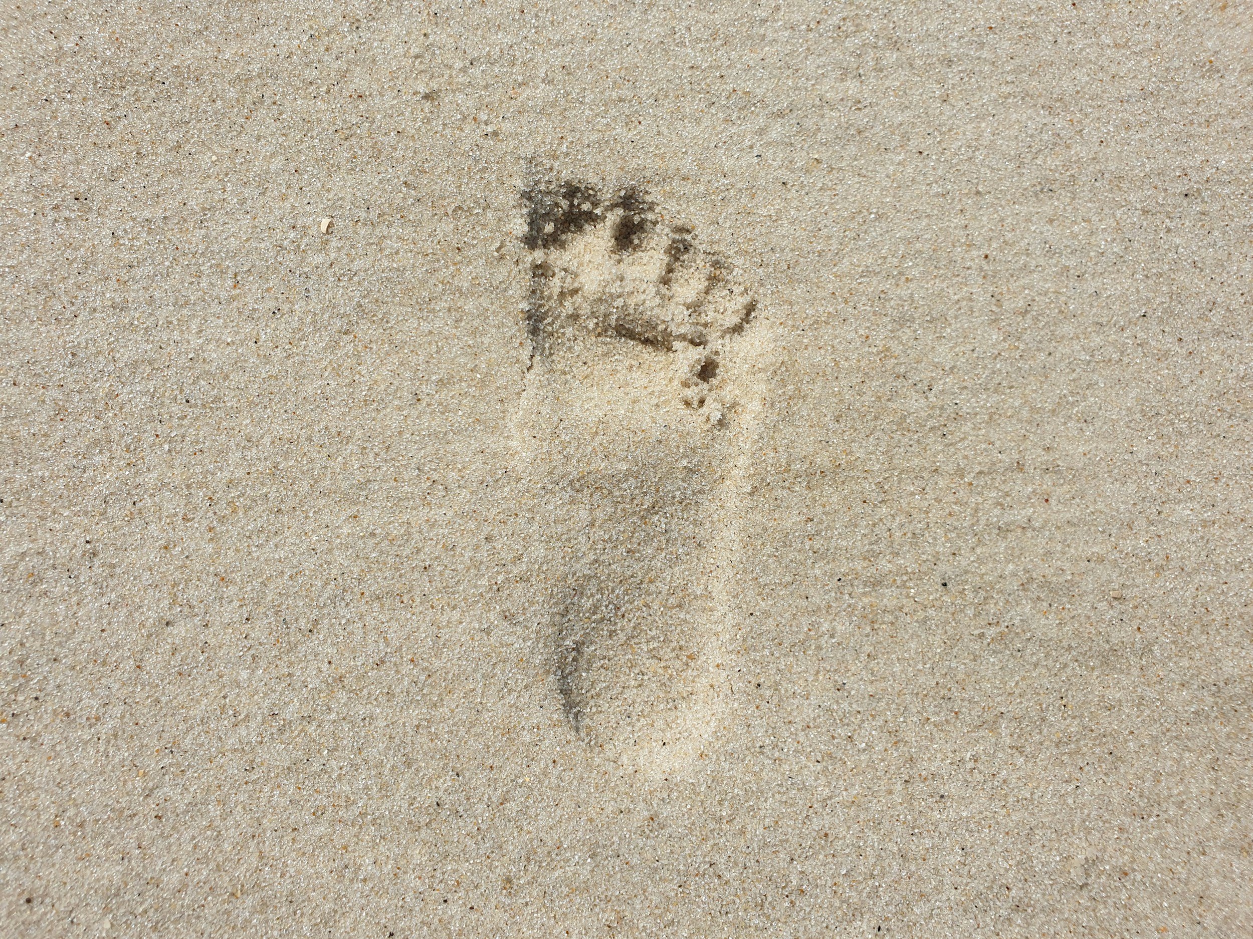 unsplash-image-qzxhtGRDcsA.jpg