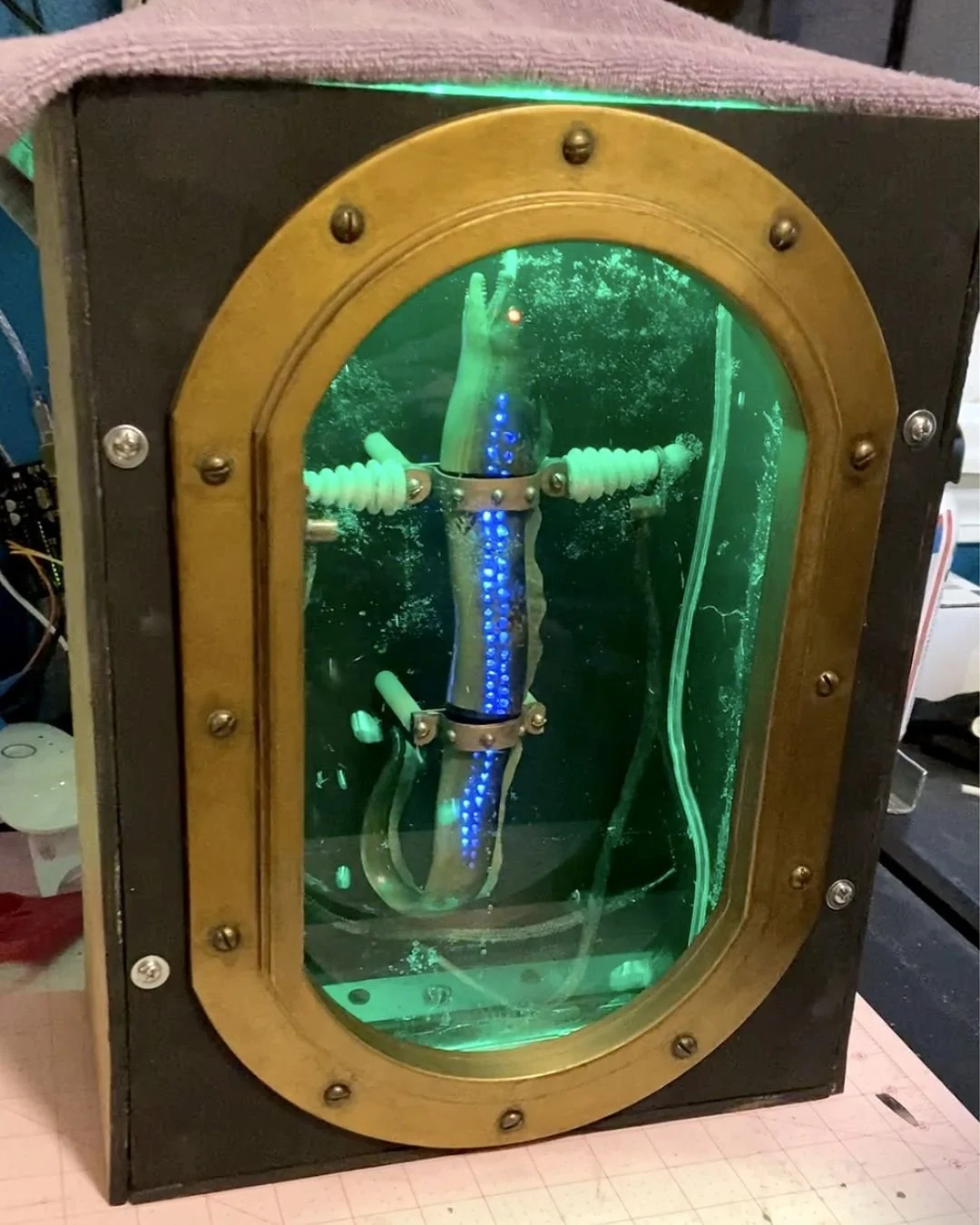 Still here. Still scheming.