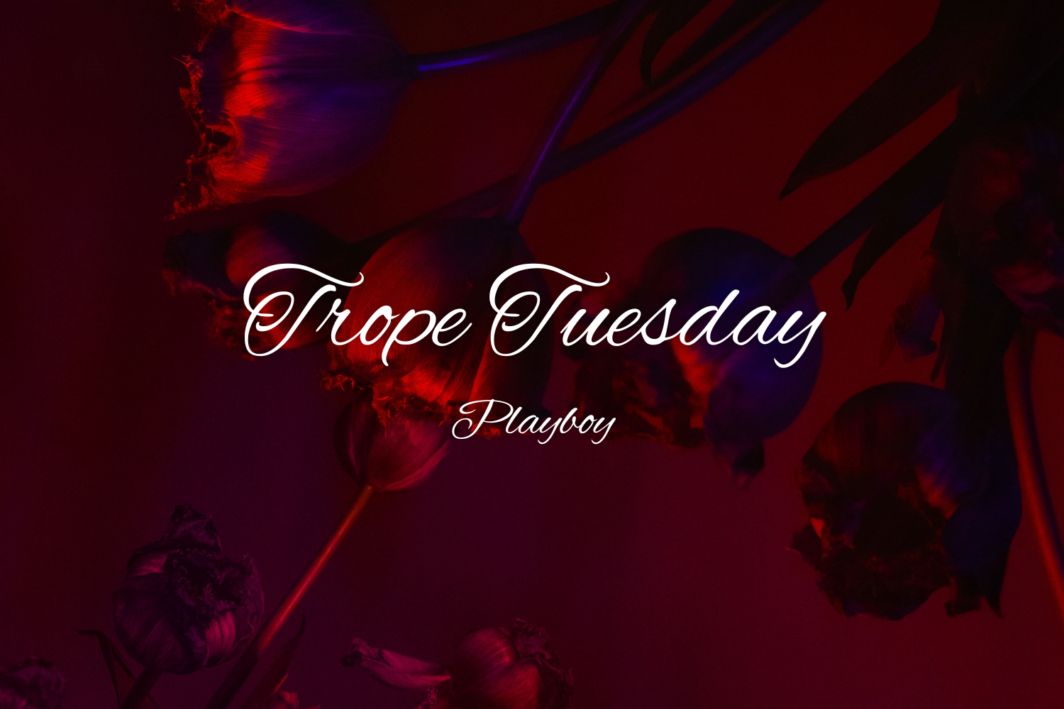 5 Playboy Romance Trope Books