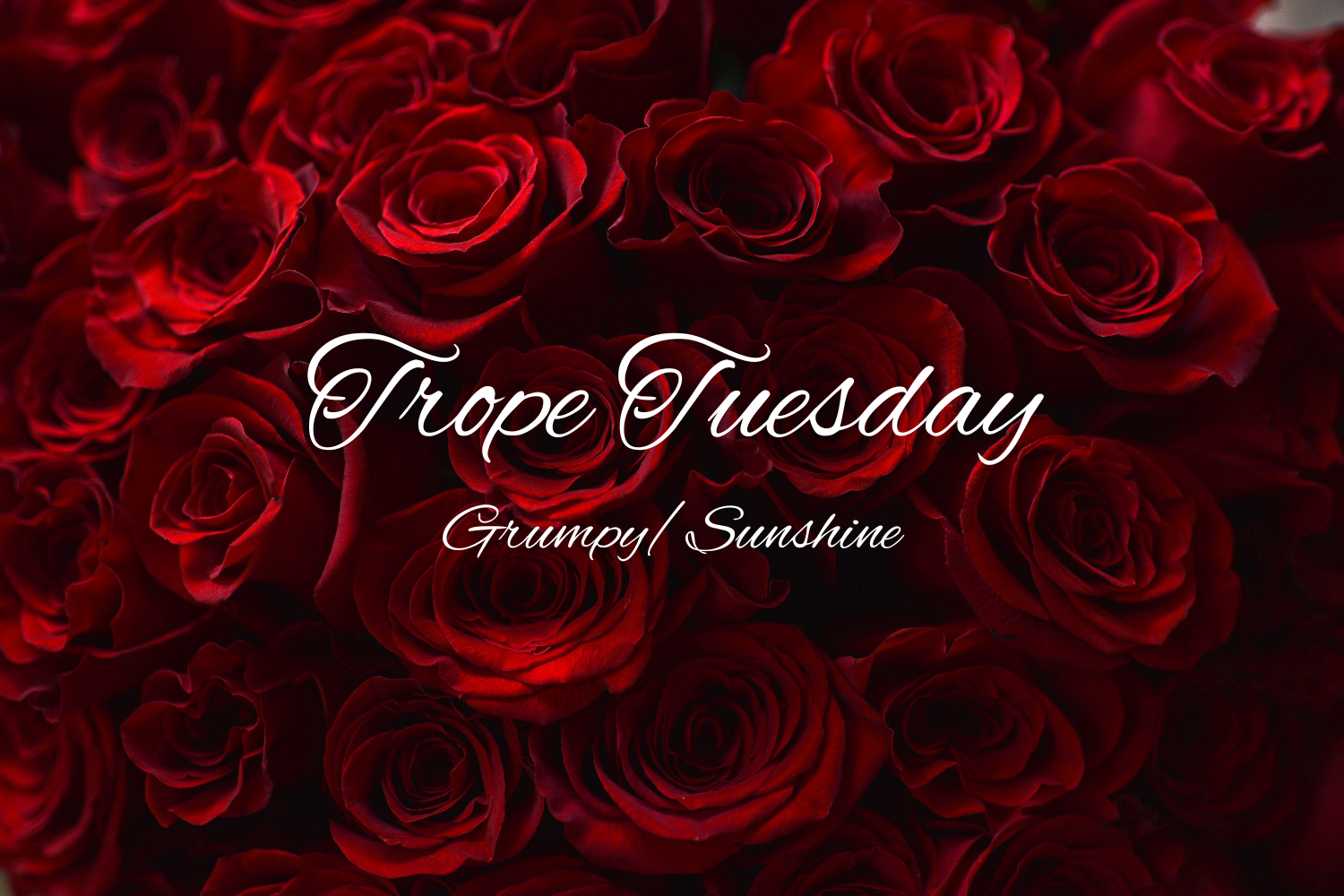 5 Grumpy/Sunshine Romance Trope Books