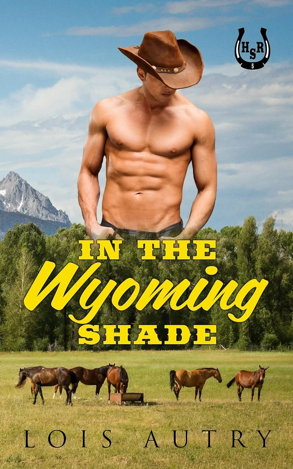 in the wyoming shade cover