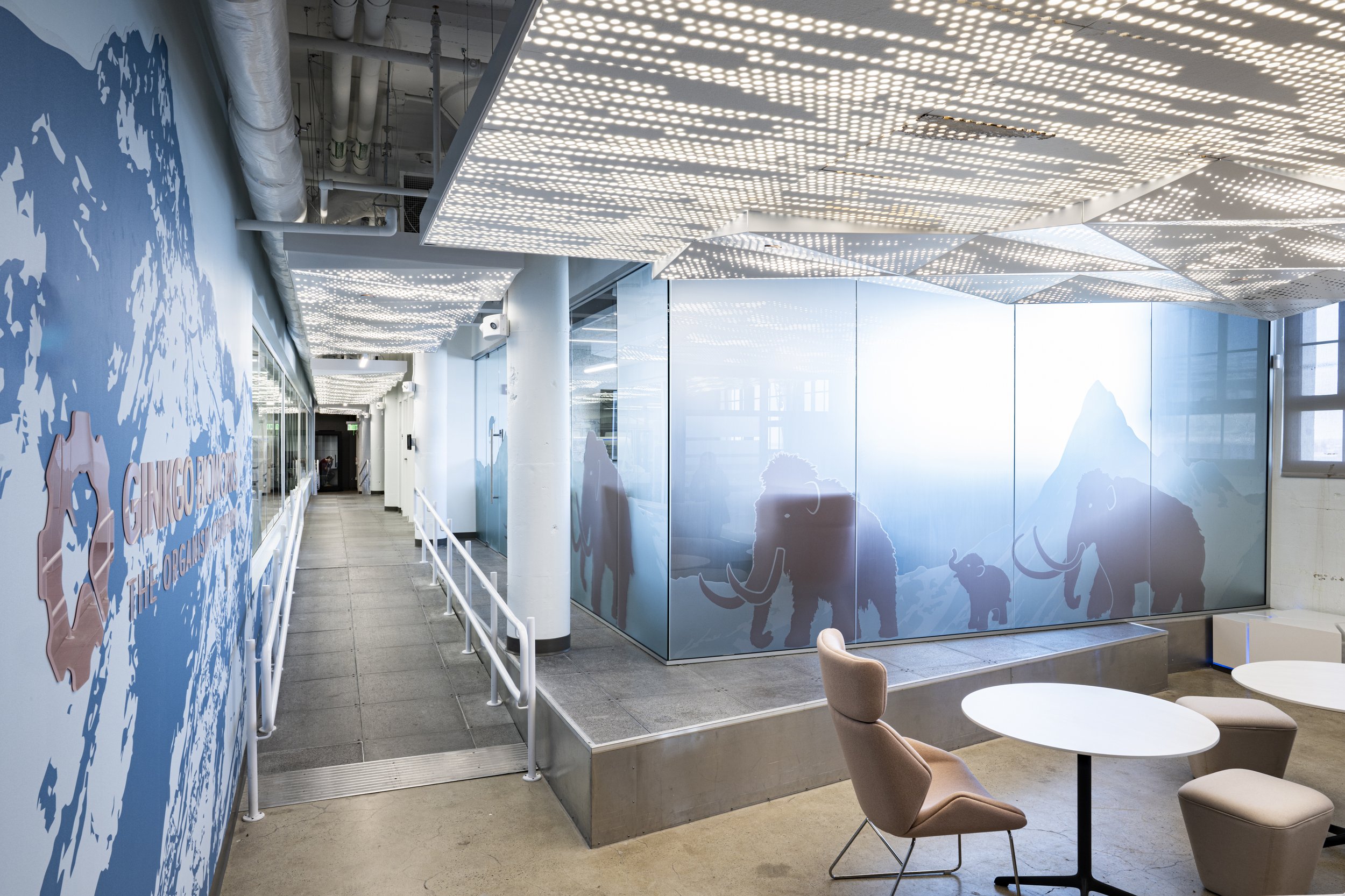 bengebo.com - gingko bioworks - 069.jpg