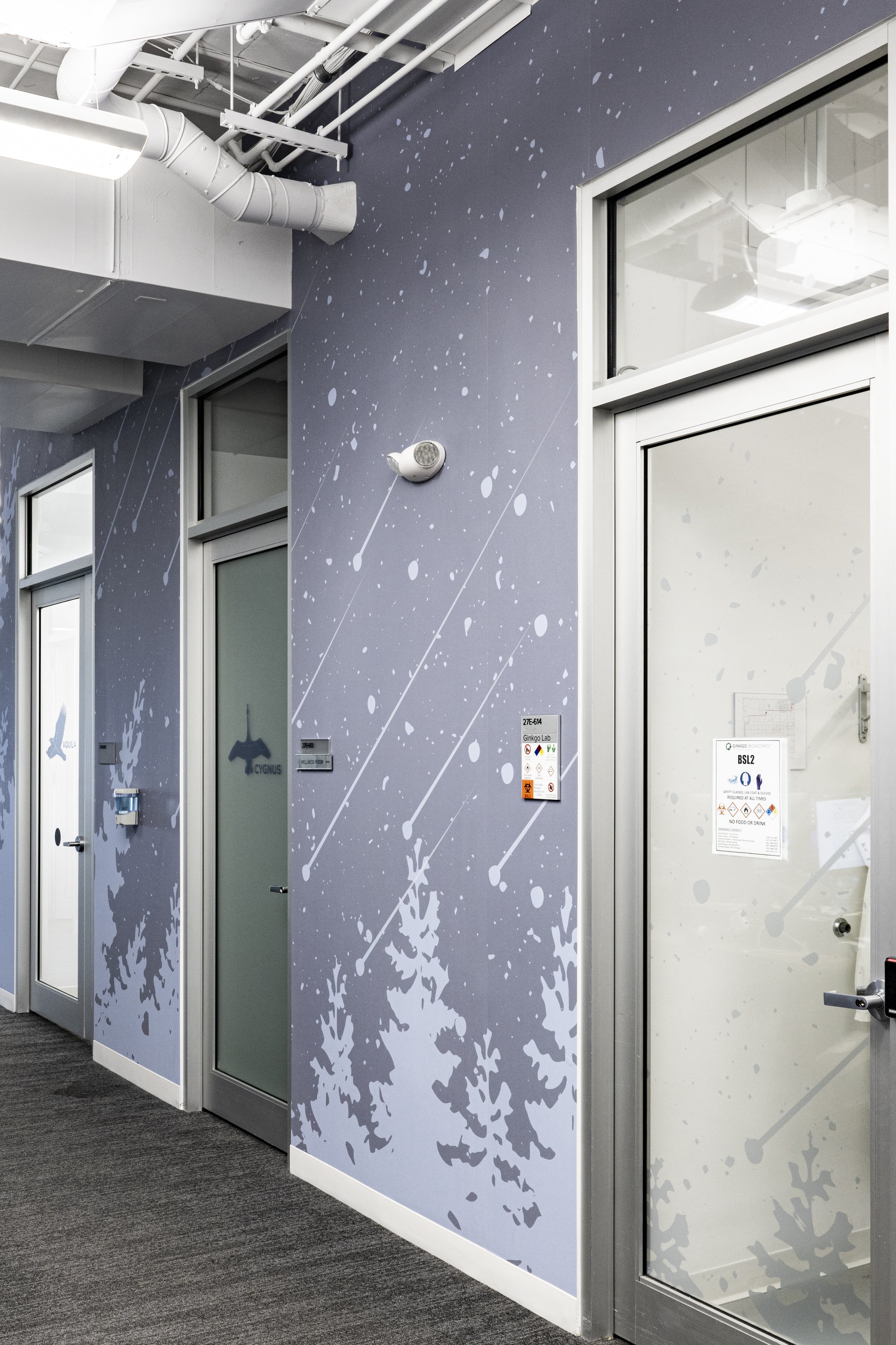 bengebo.com - gingko bioworks - 125.jpg
