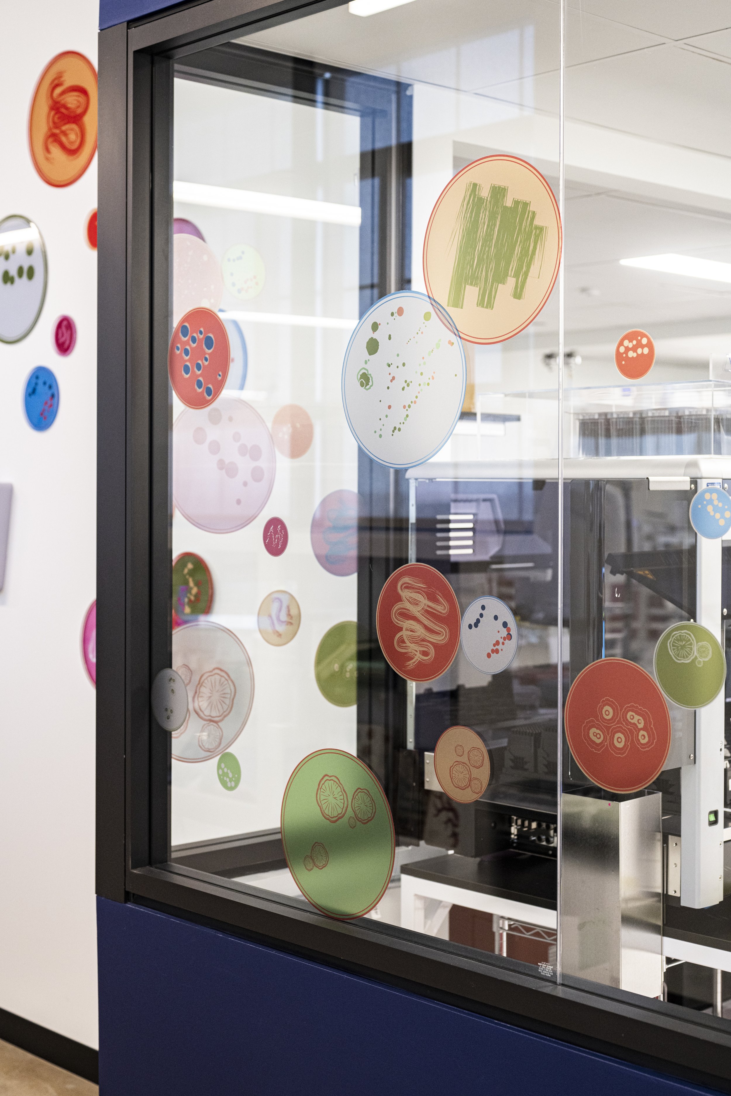 bengebo.com - gingko bioworks - 021.jpg