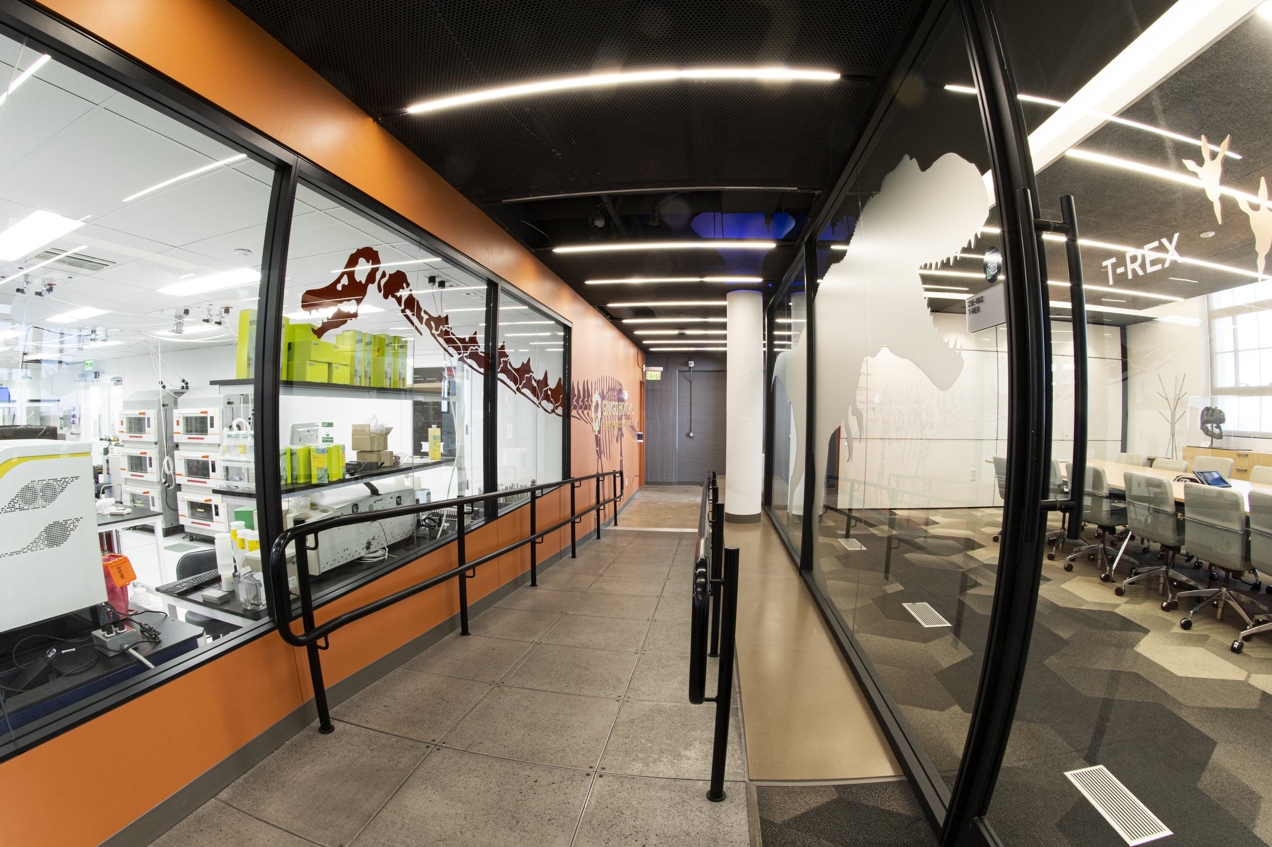 bengebo.com - gingko bioworks - 039.jpg