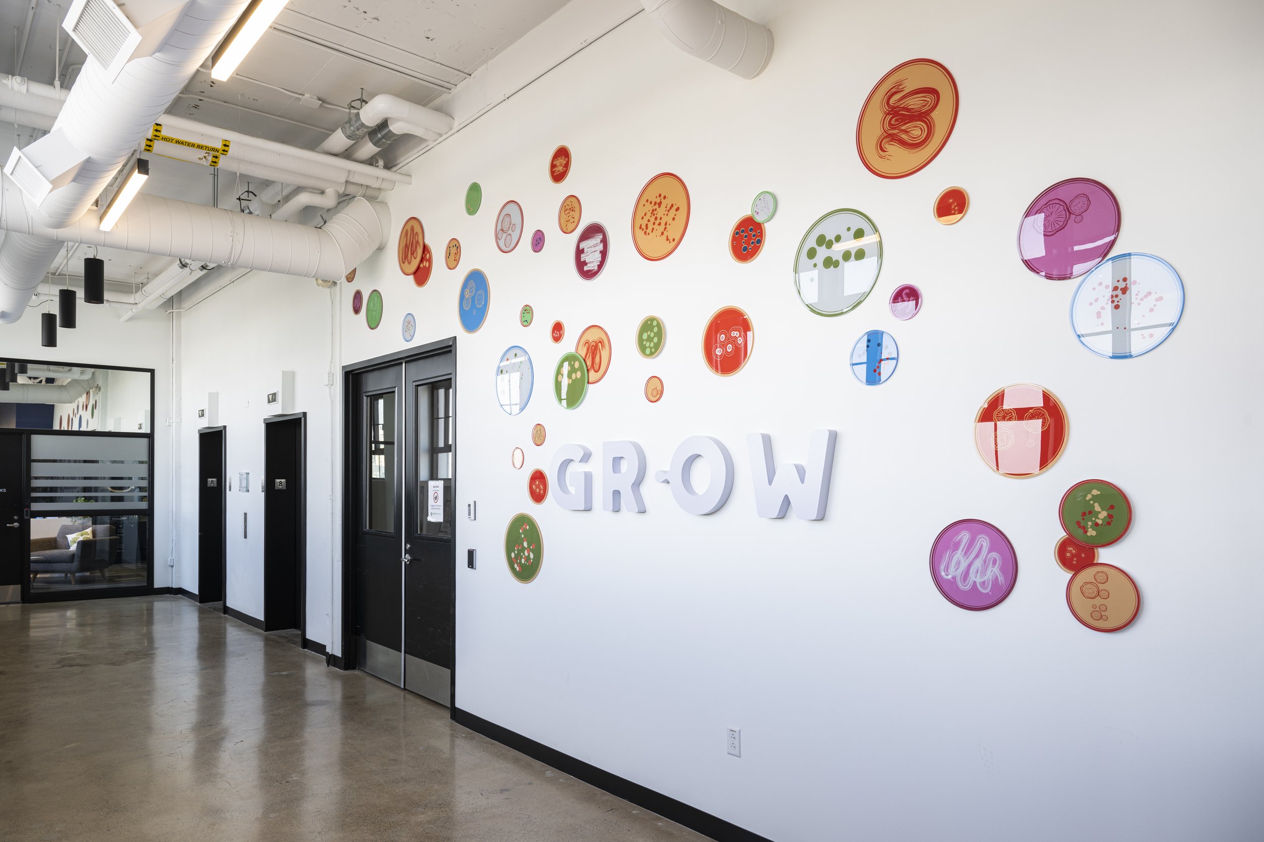 bengebo.com - gingko bioworks - 004.jpg