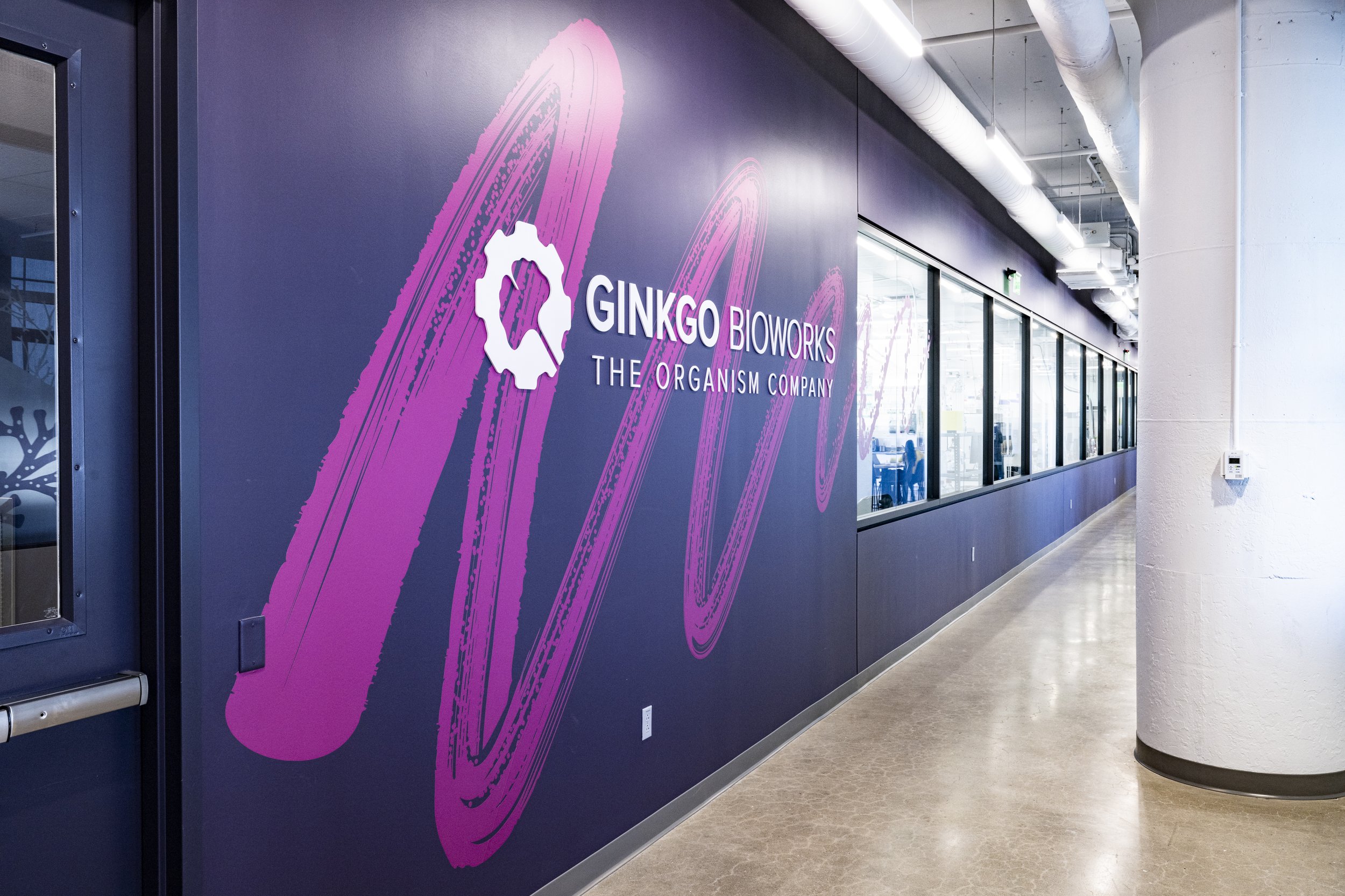 bengebo.com - gingko bioworks - 149.jpg
