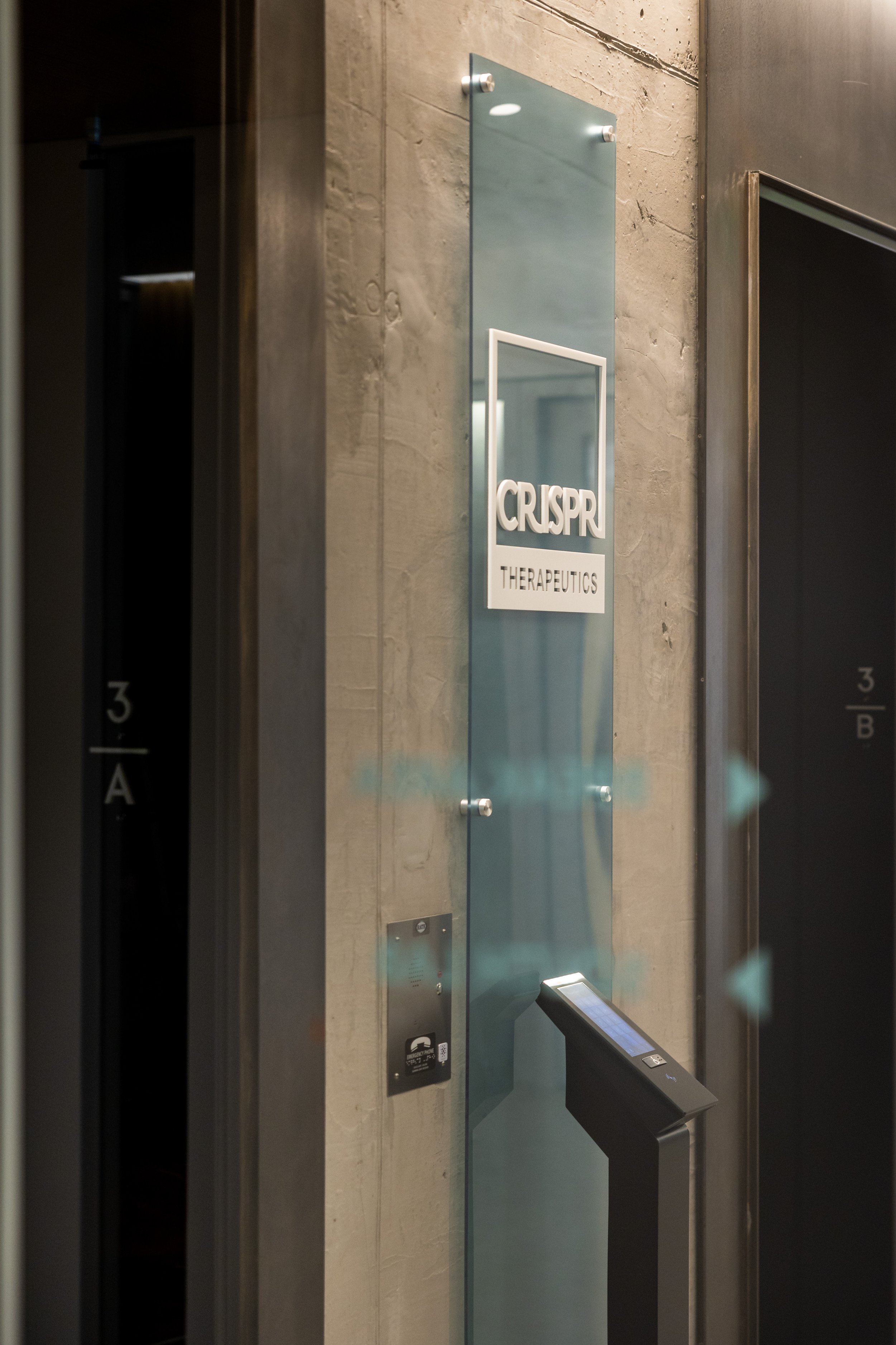 LLMDesign_CRISPR-35.jpg