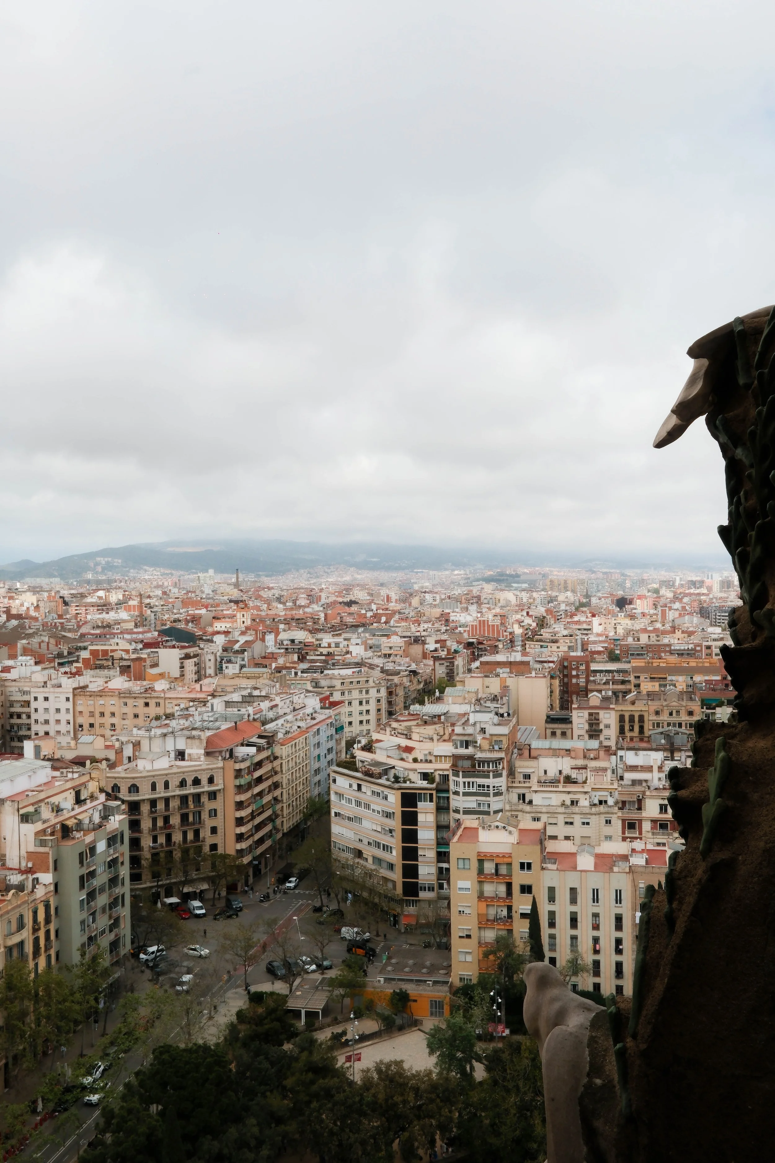 DianaNguyen_GrainsAndTones_@diana___nguyen_Barcelona_028.jpg
