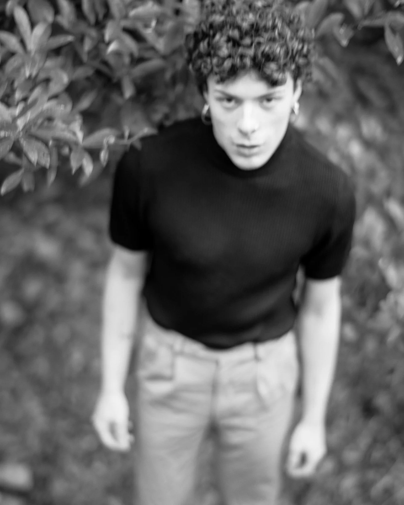 Lorenzo