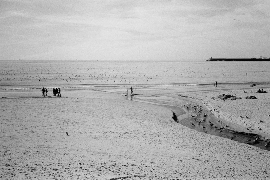 _DSC0038.jpg