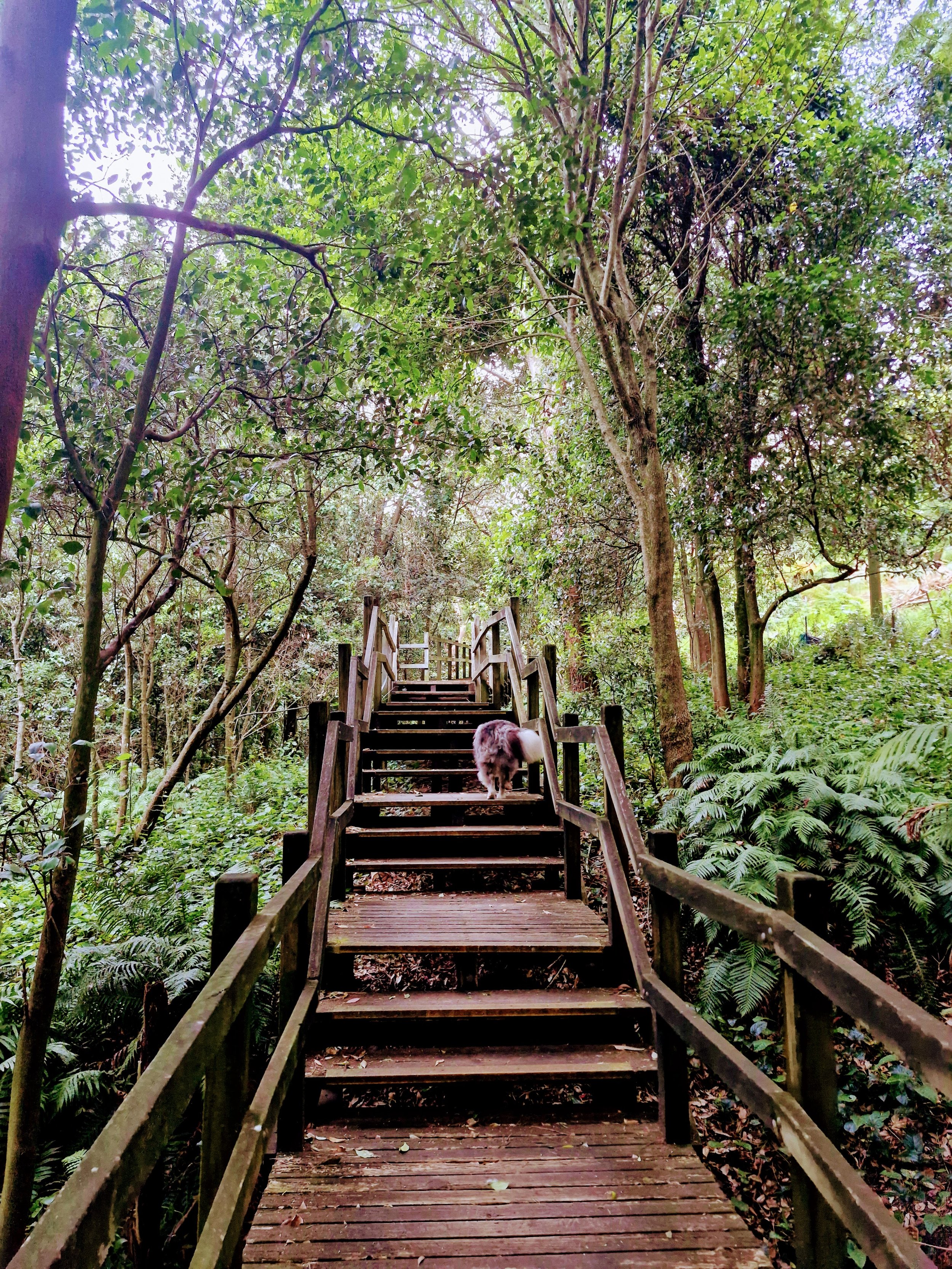 20251121_083022-EDIT (2).jpg