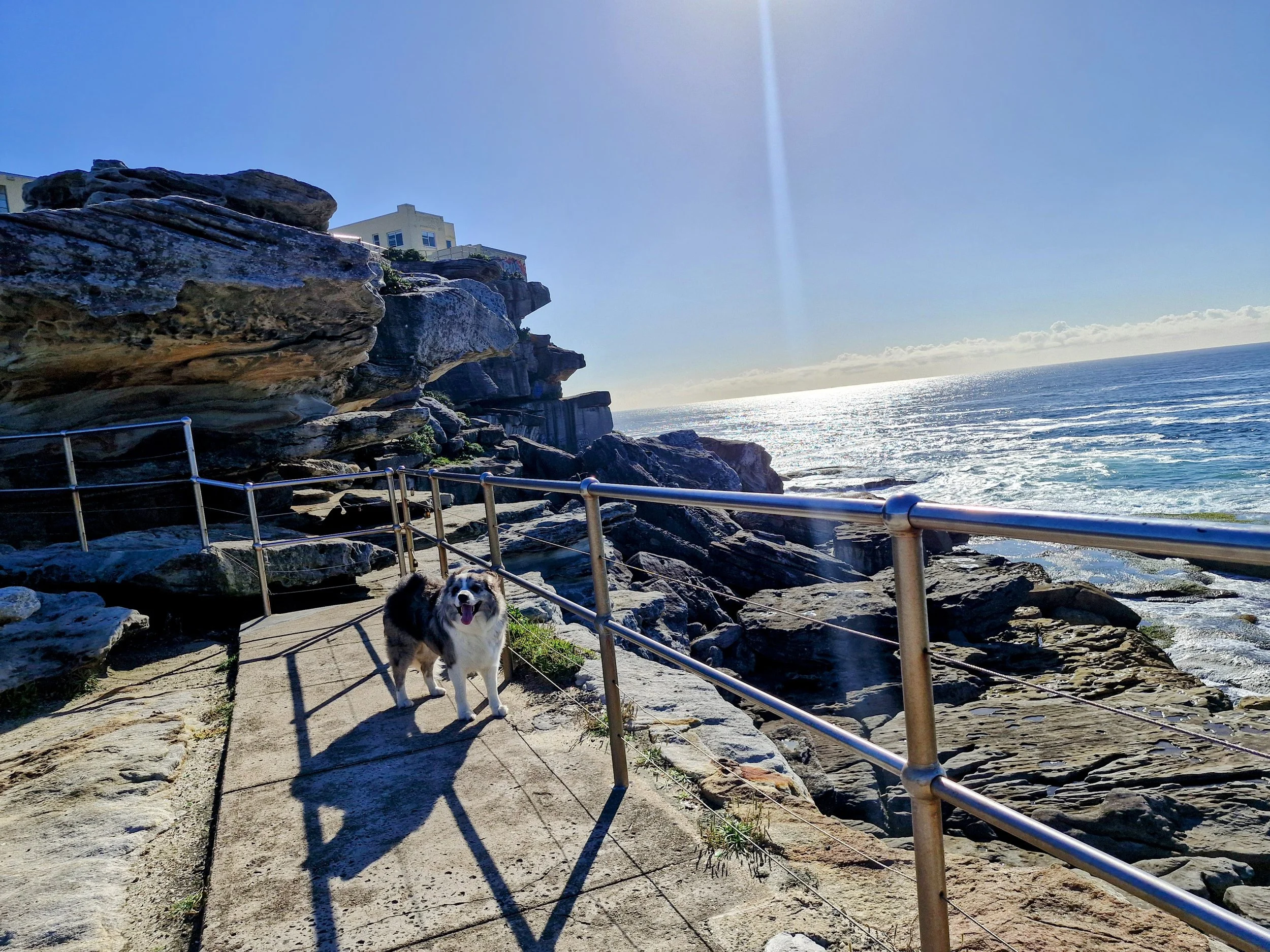 20260325_092811-EDIT (1).jpg