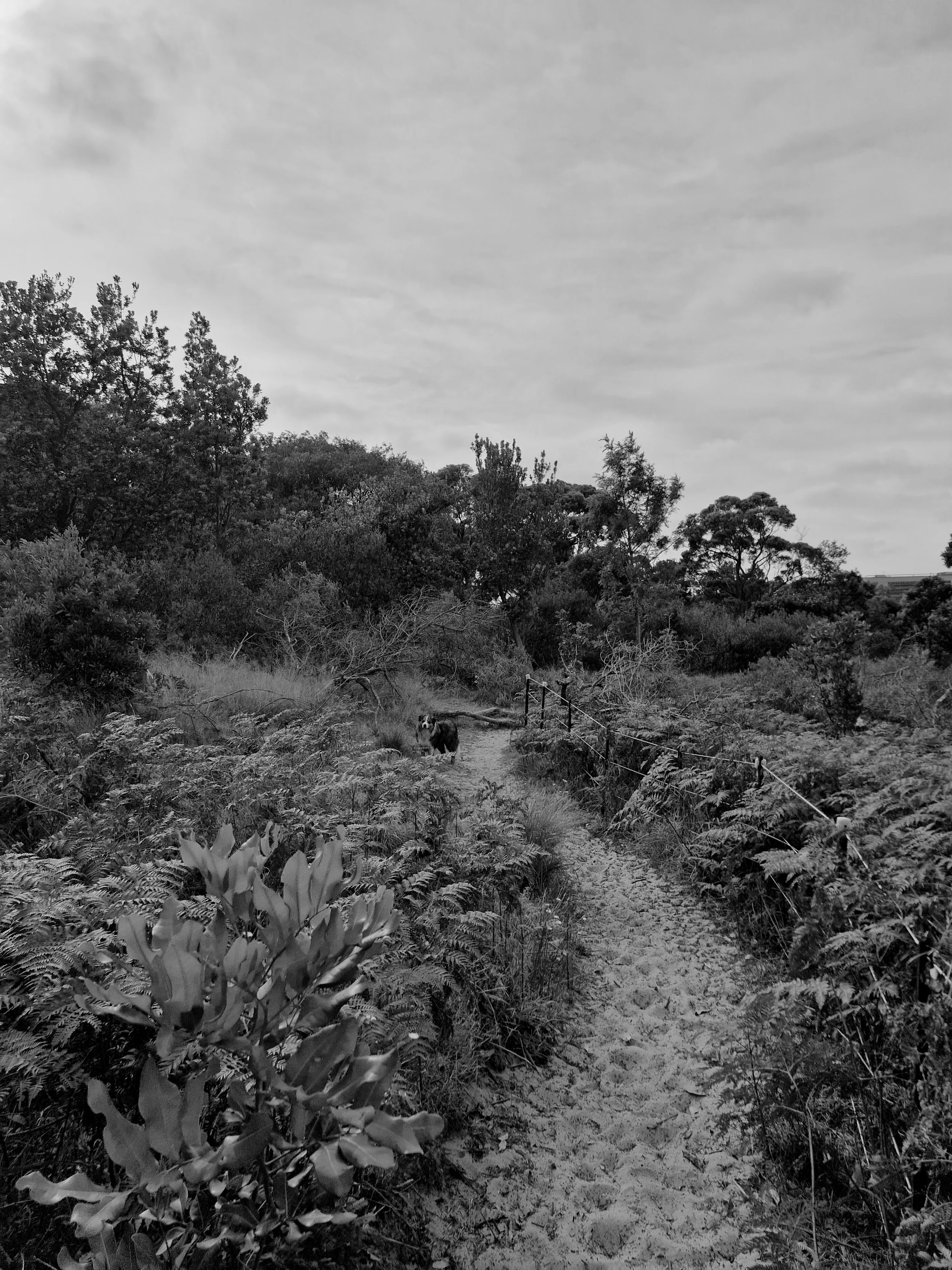 Fearnley Grounds Walk