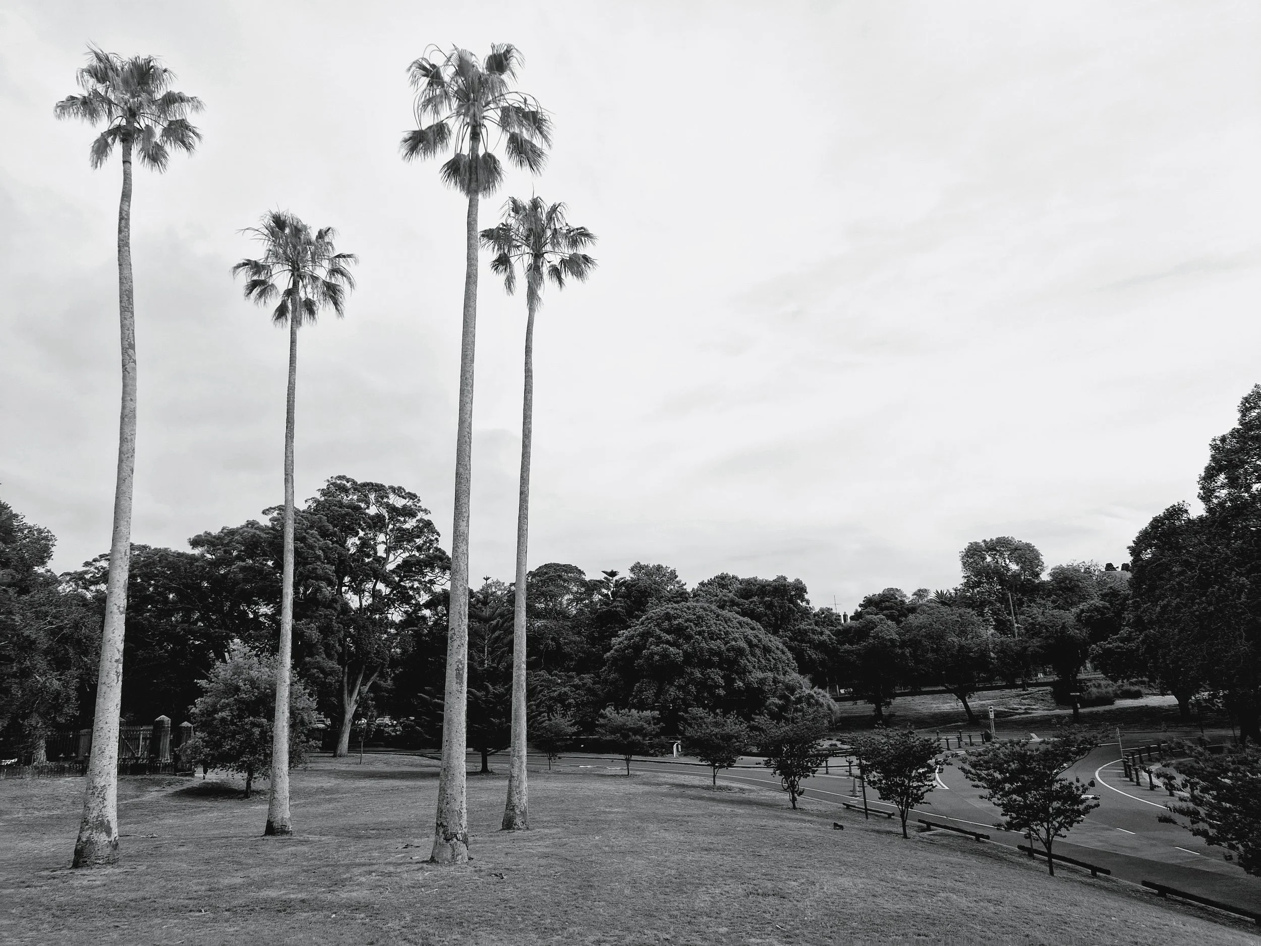 20251120_083447-EDIT (1).jpg