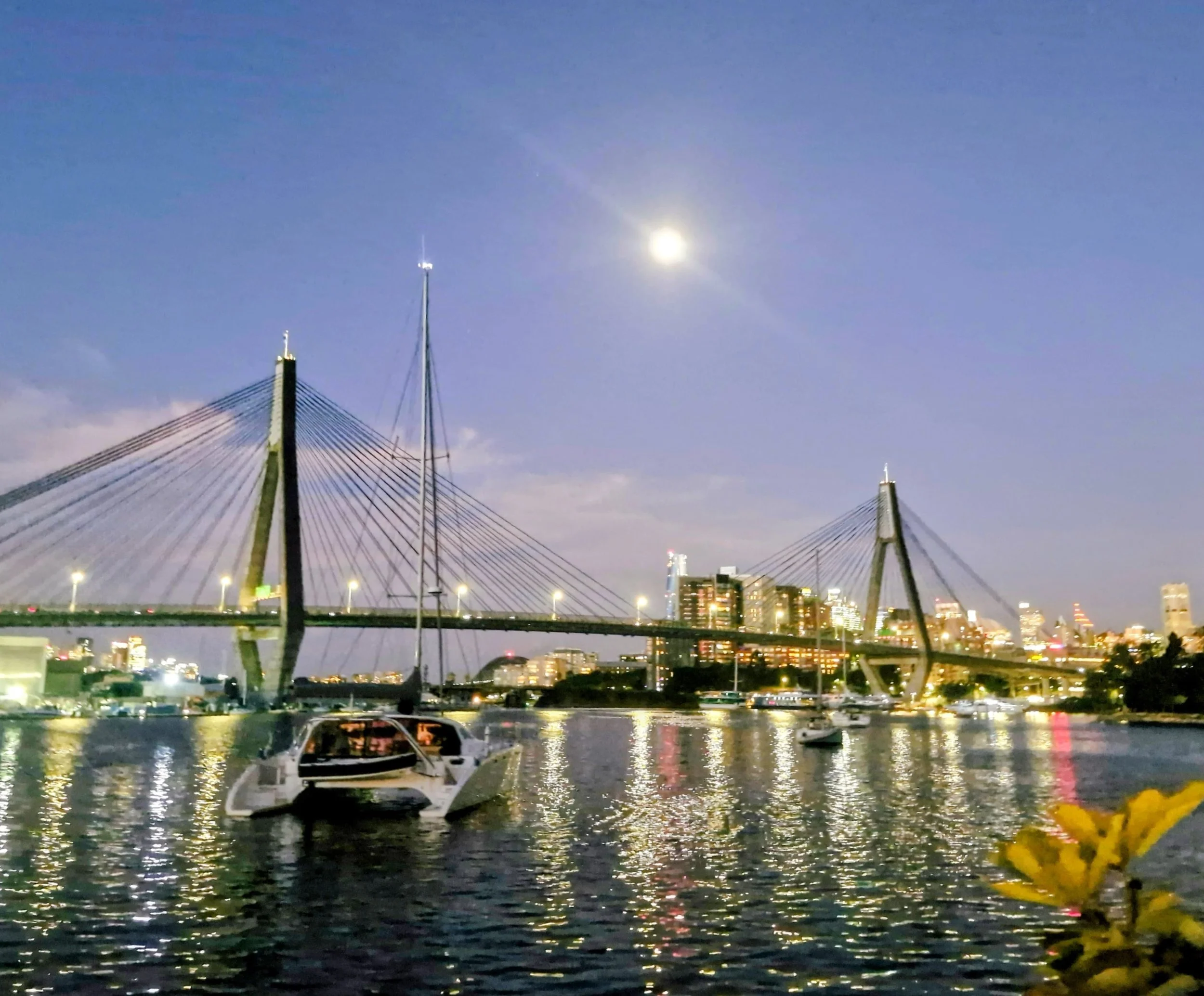 20260330_192529~2 (1).jpg