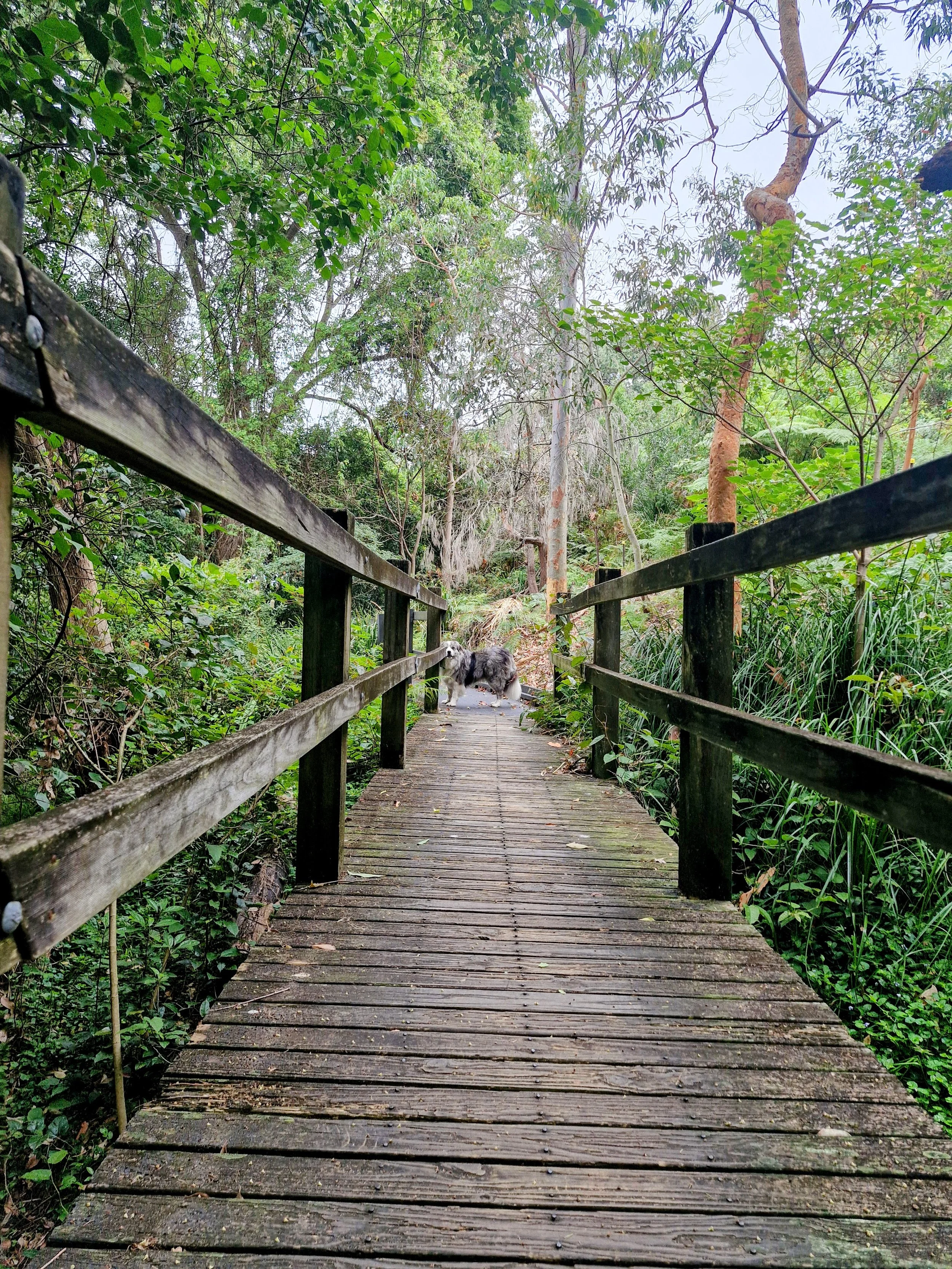 20251121_083201-EDIT (1).jpg