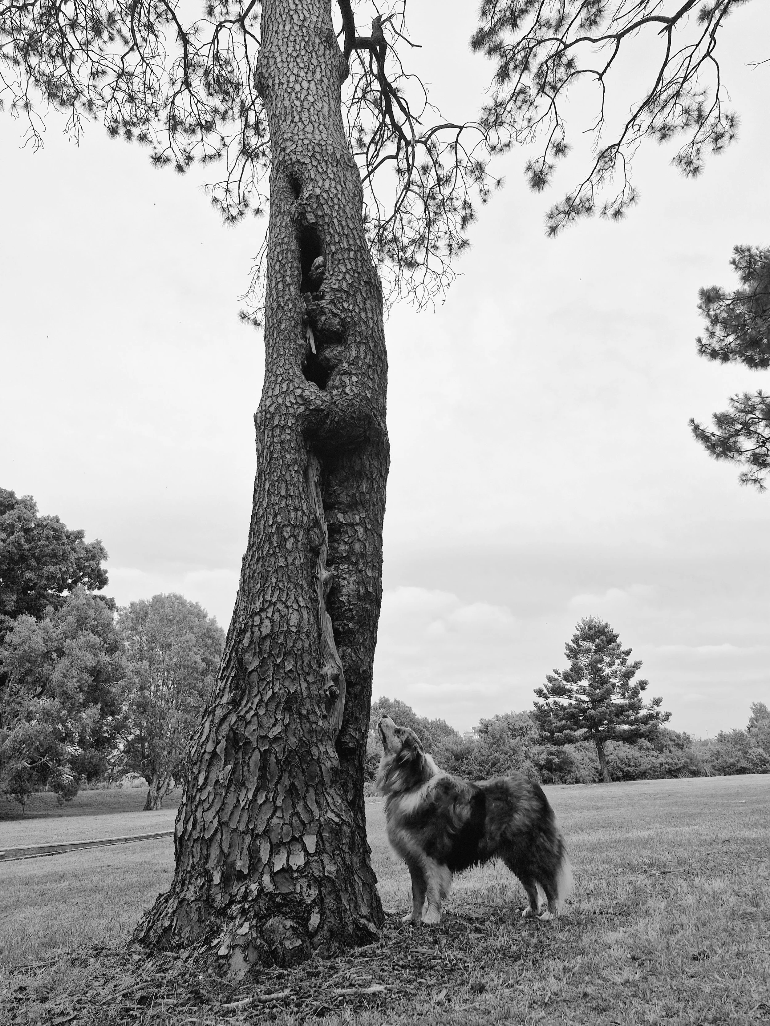 20251120_090756 (1).jpg